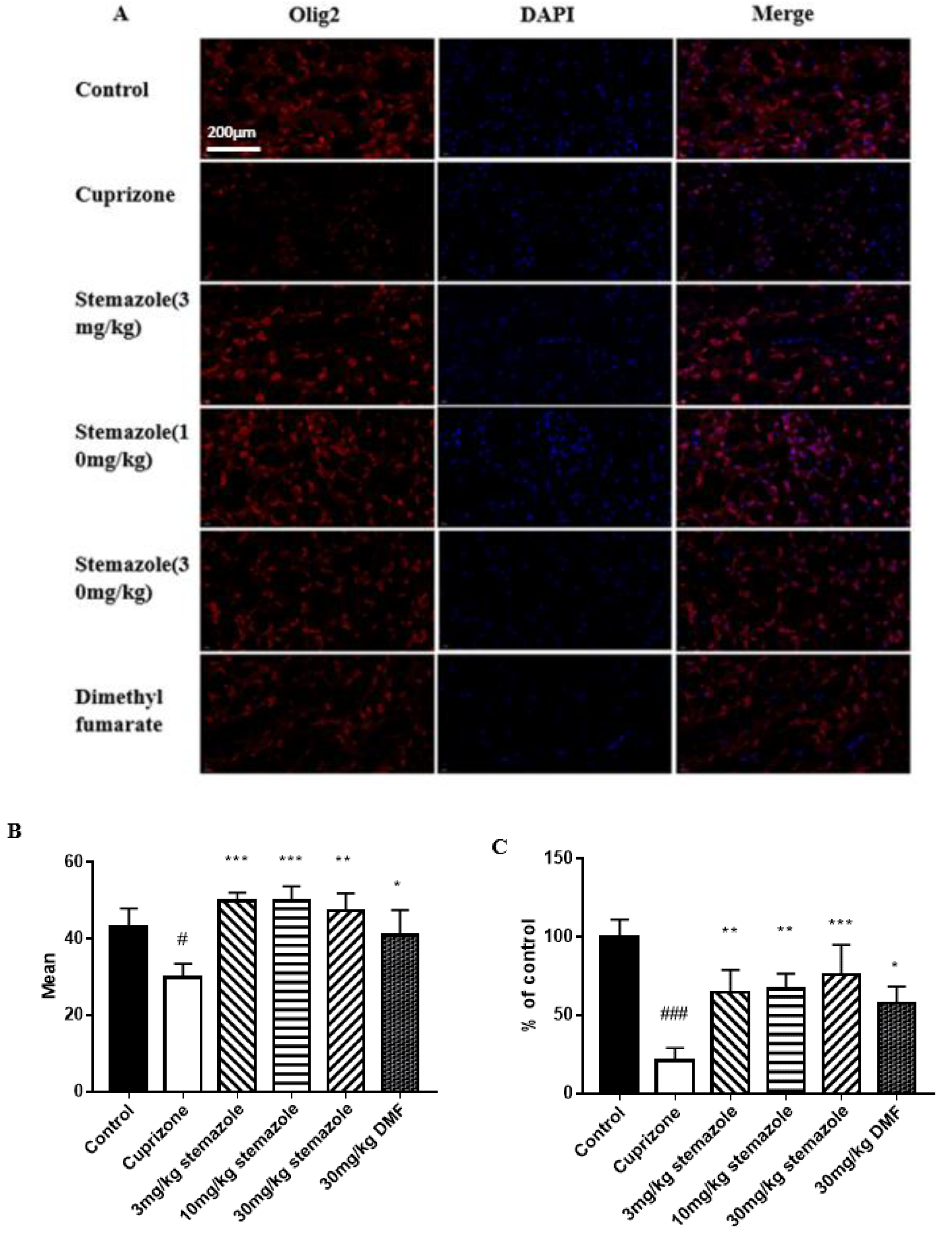 Ijms 23 10756 g007 550