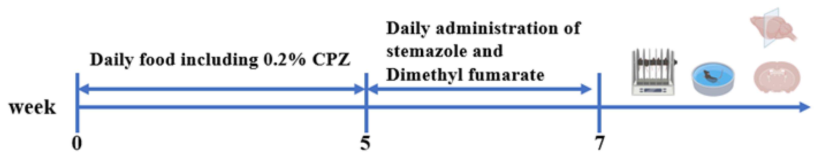 Ijms 23 10756 g008 550