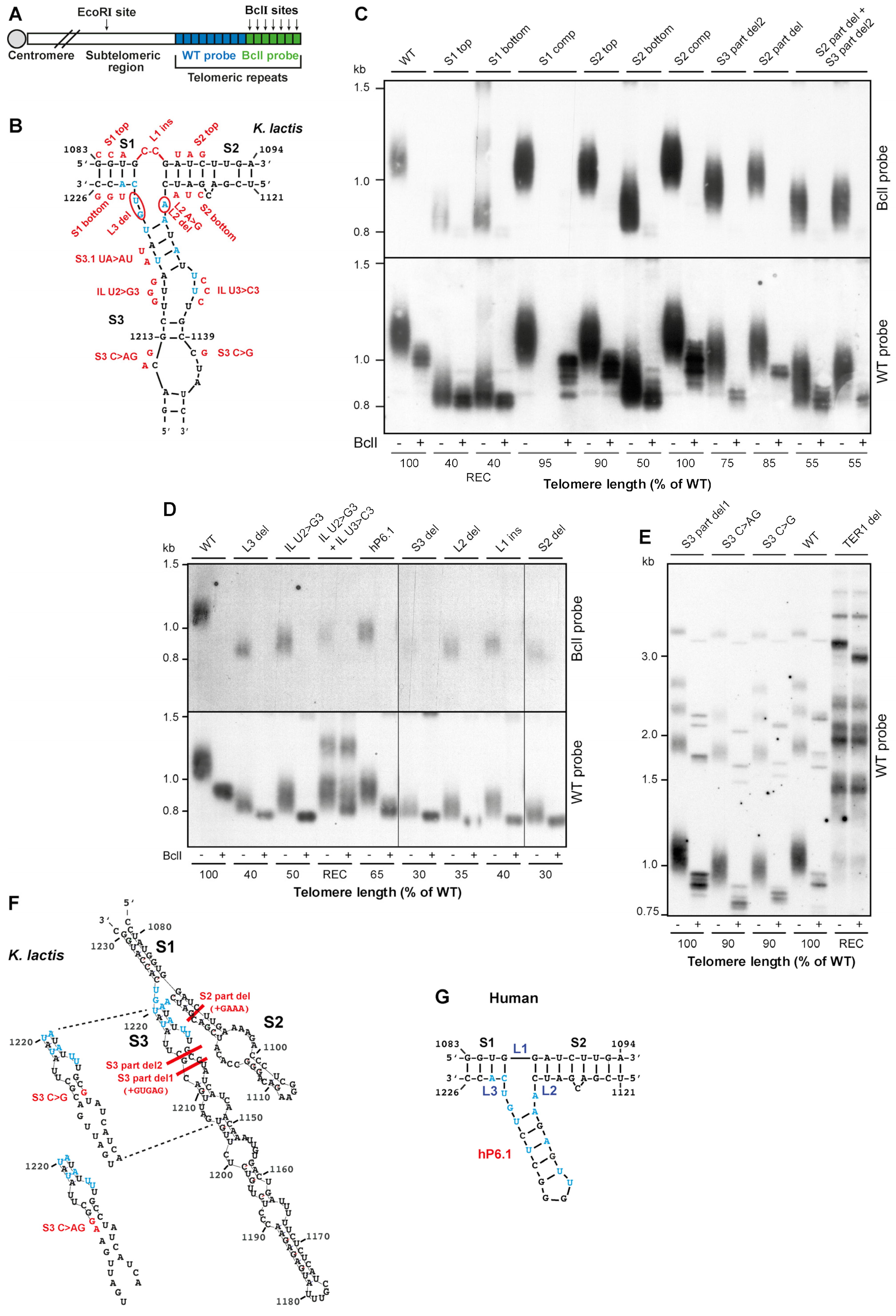Ijms 23 10757 g002 Ijms 23 10757 g002