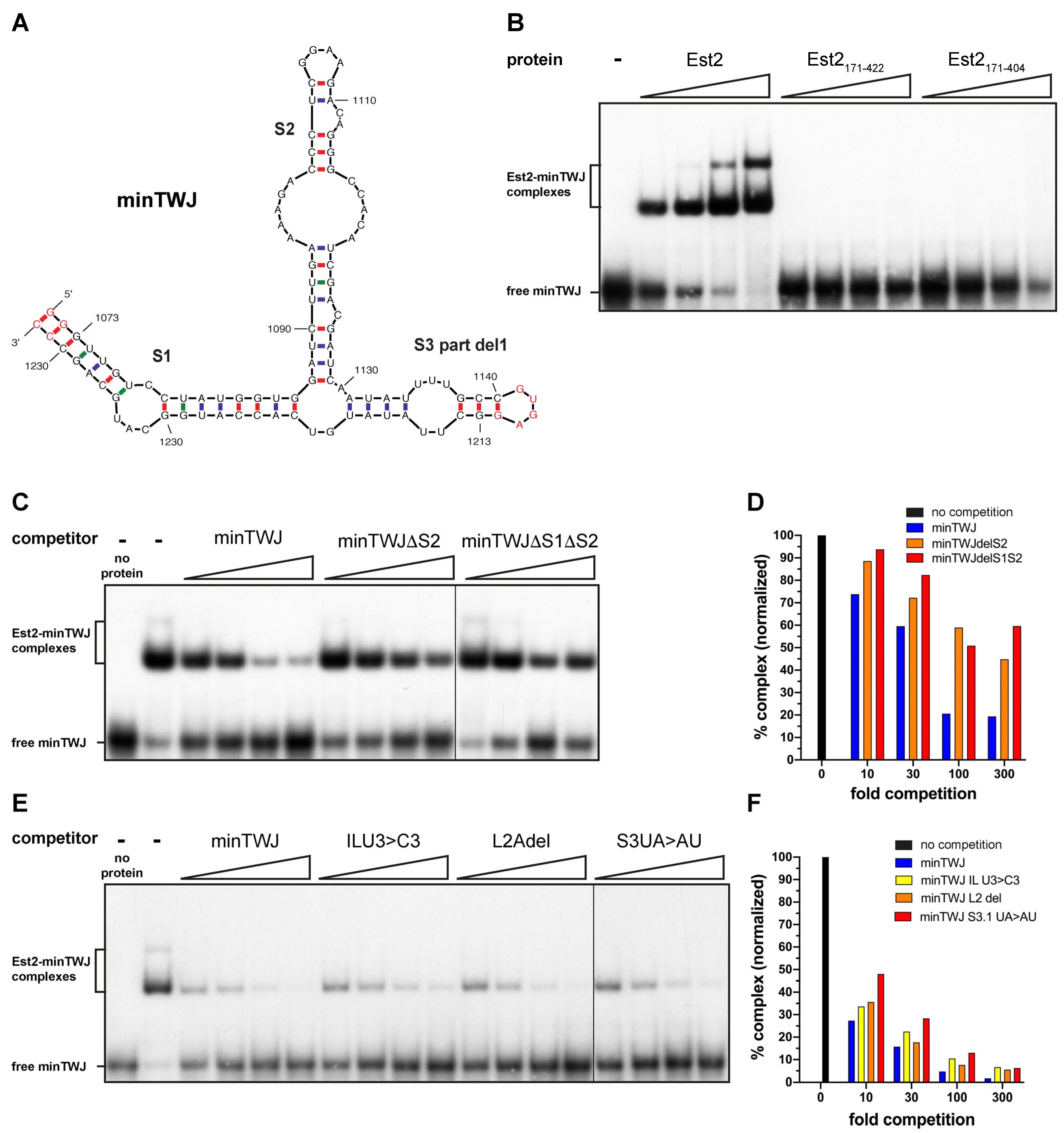 Ijms 23 10757 g005 Ijms 23 10757 g005