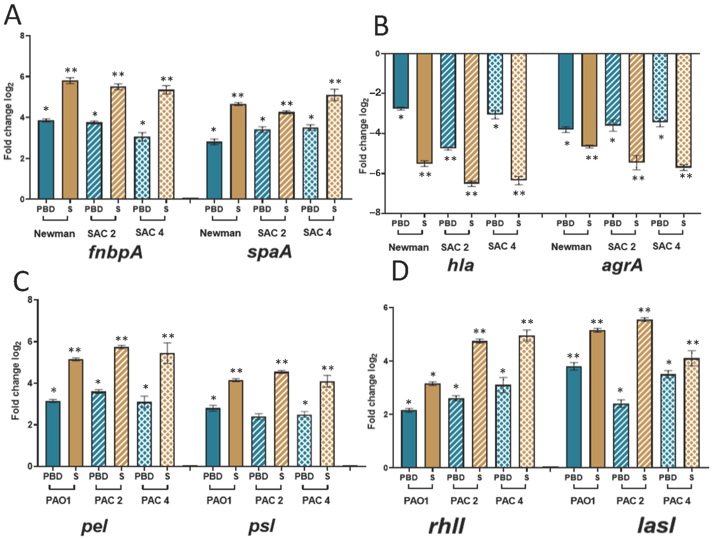 Ijms 23 10761 g005 550
