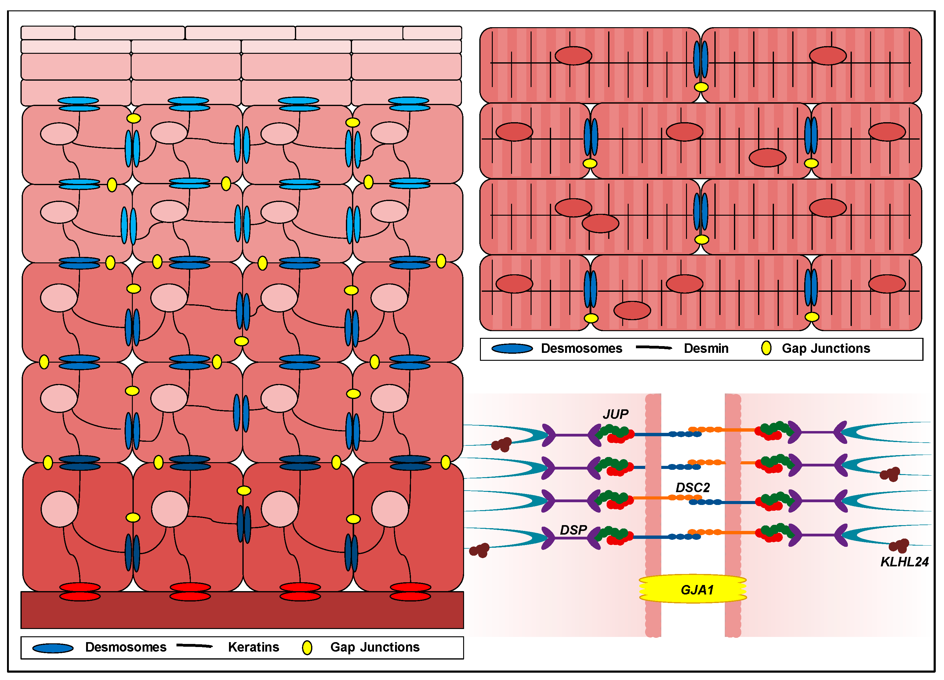 Ijms 23 10765 g001 Ijms 23 10765 g001