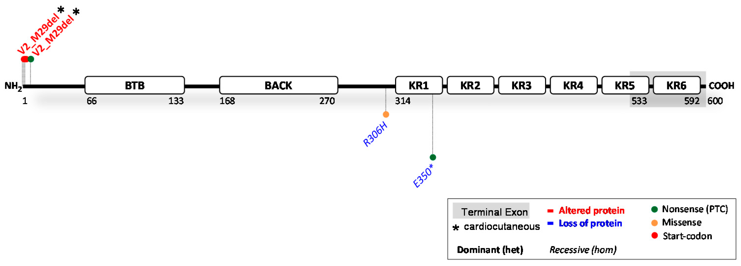 Ijms 23 10765 g005 Ijms 23 10765 g005