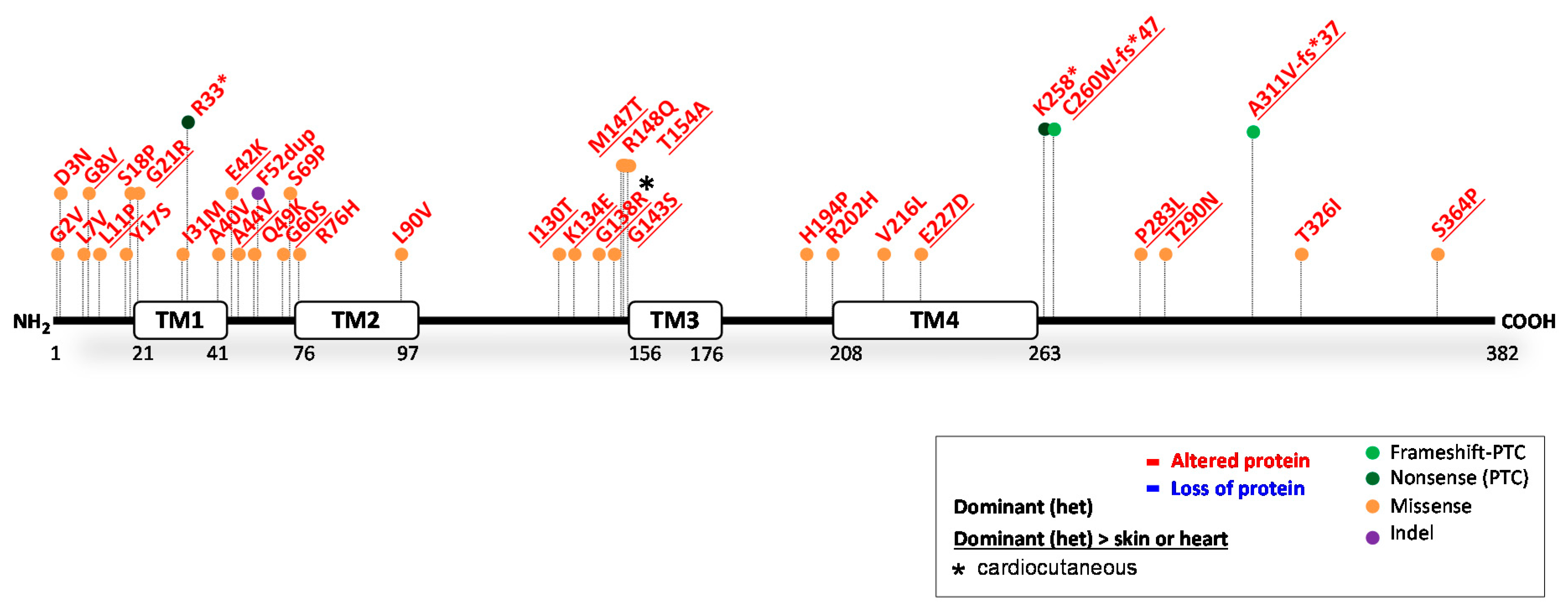 Ijms 23 10765 g006 Ijms 23 10765 g006