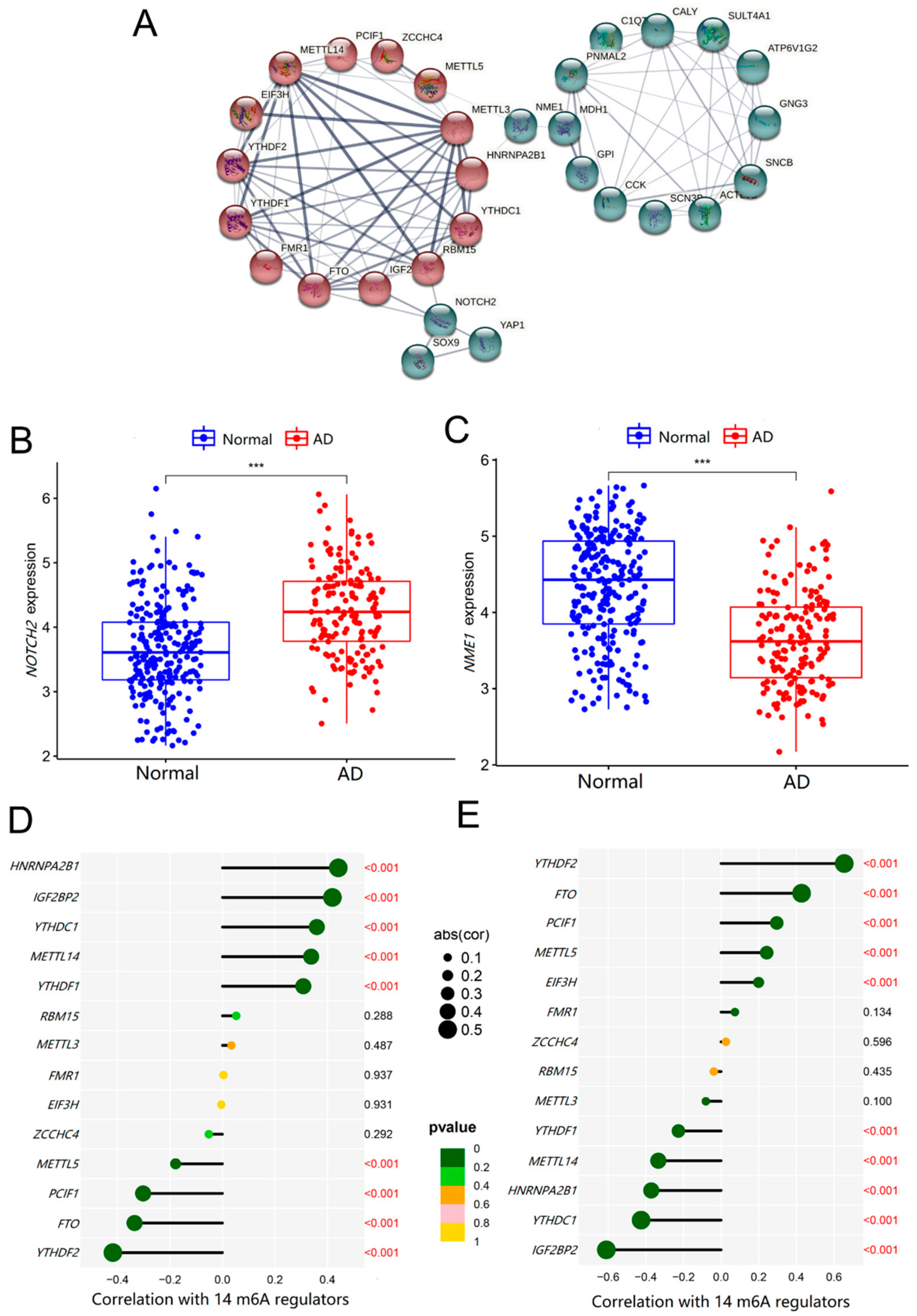 Ijms 23 10766 g007 550