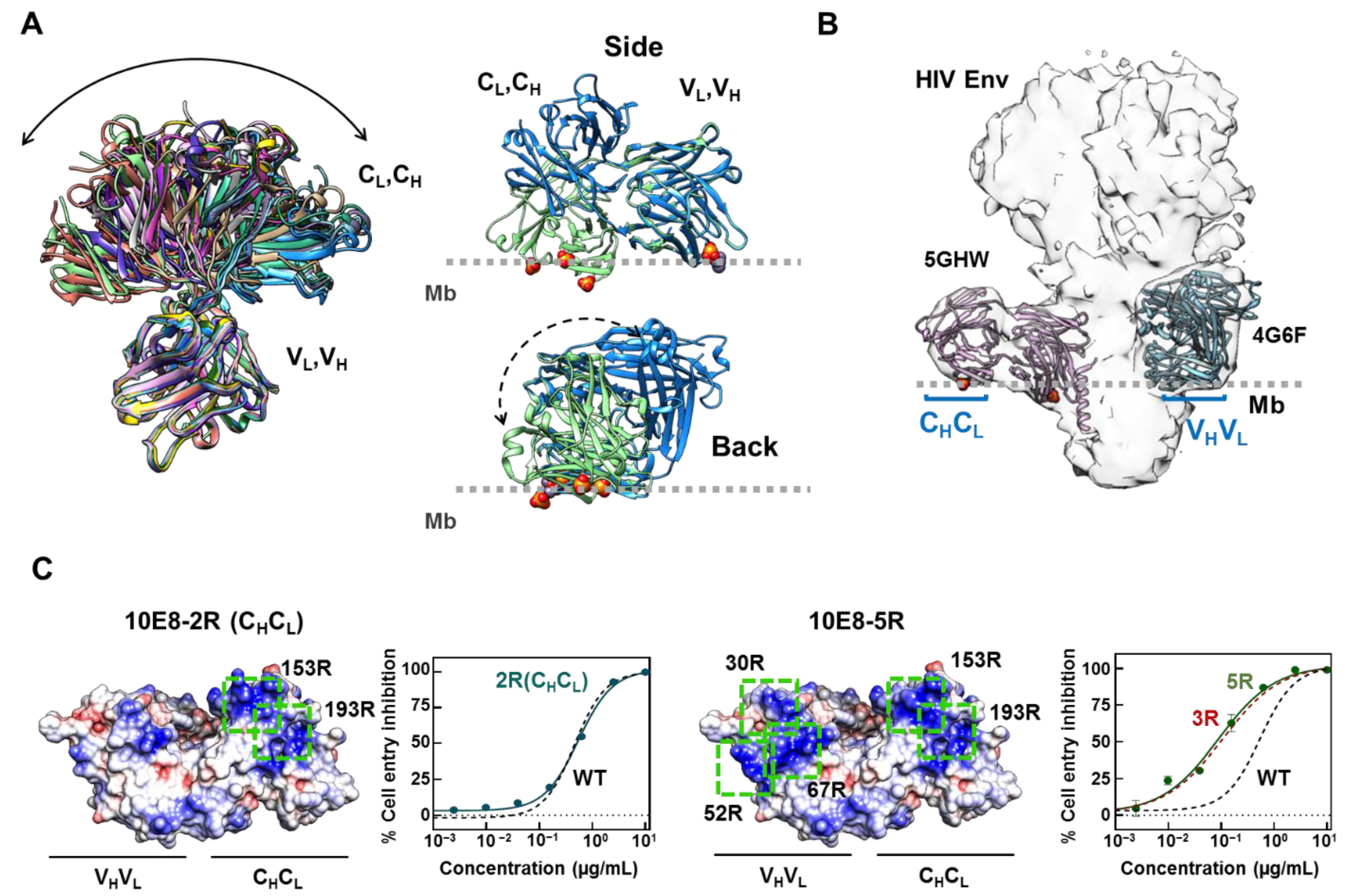 Ijms 23 10767 g001 Ijms 23 10767 g001
