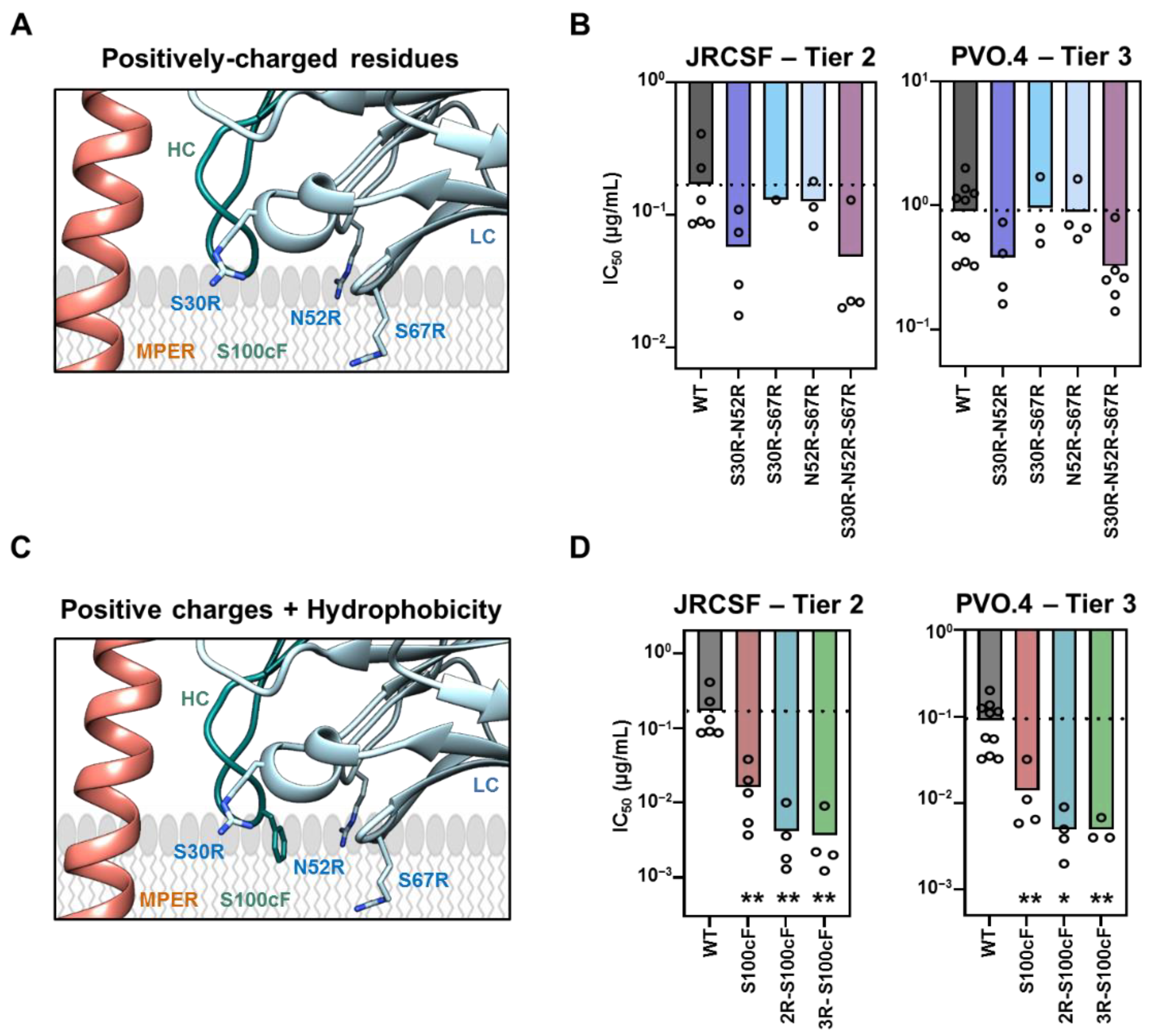 Ijms 23 10767 g002 Ijms 23 10767 g002