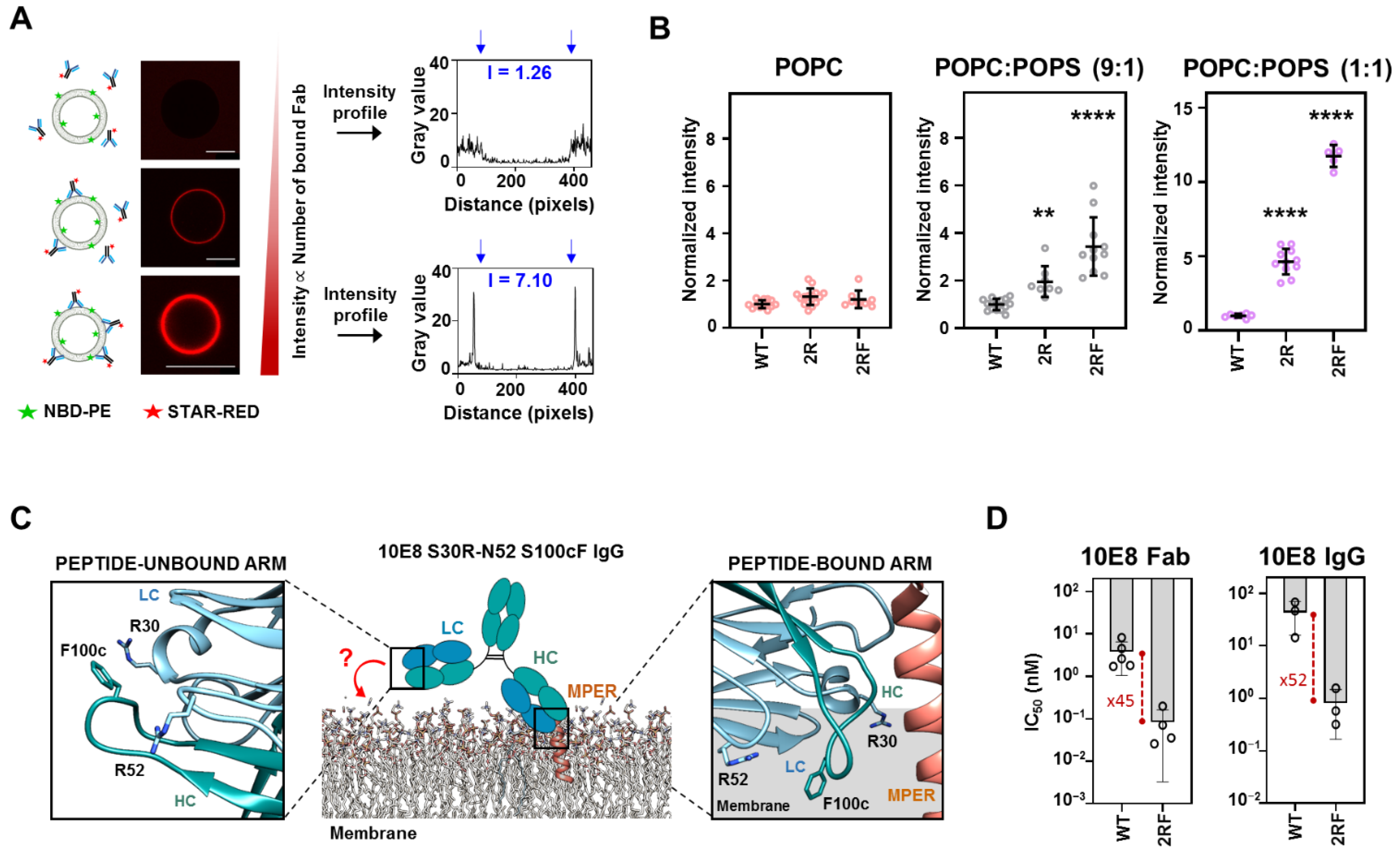Ijms 23 10767 g003 Ijms 23 10767 g003