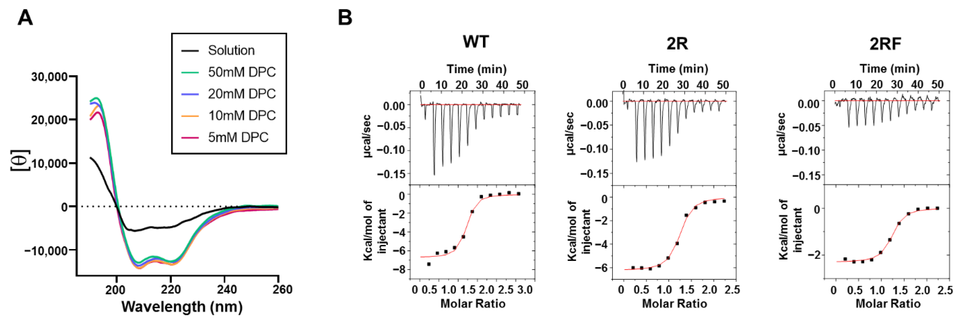 Ijms 23 10767 g004 Ijms 23 10767 g004