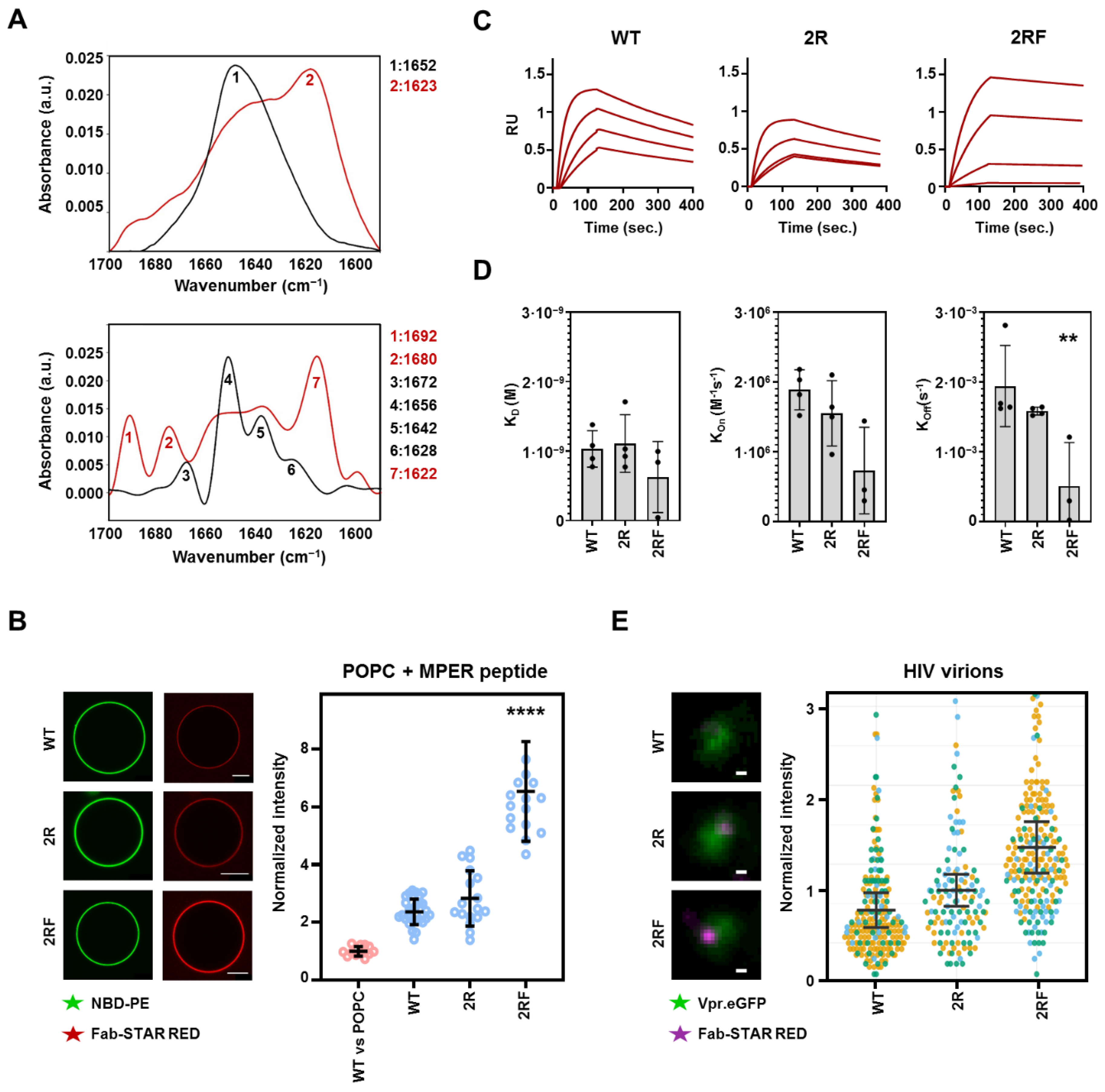 Ijms 23 10767 g005 Ijms 23 10767 g005