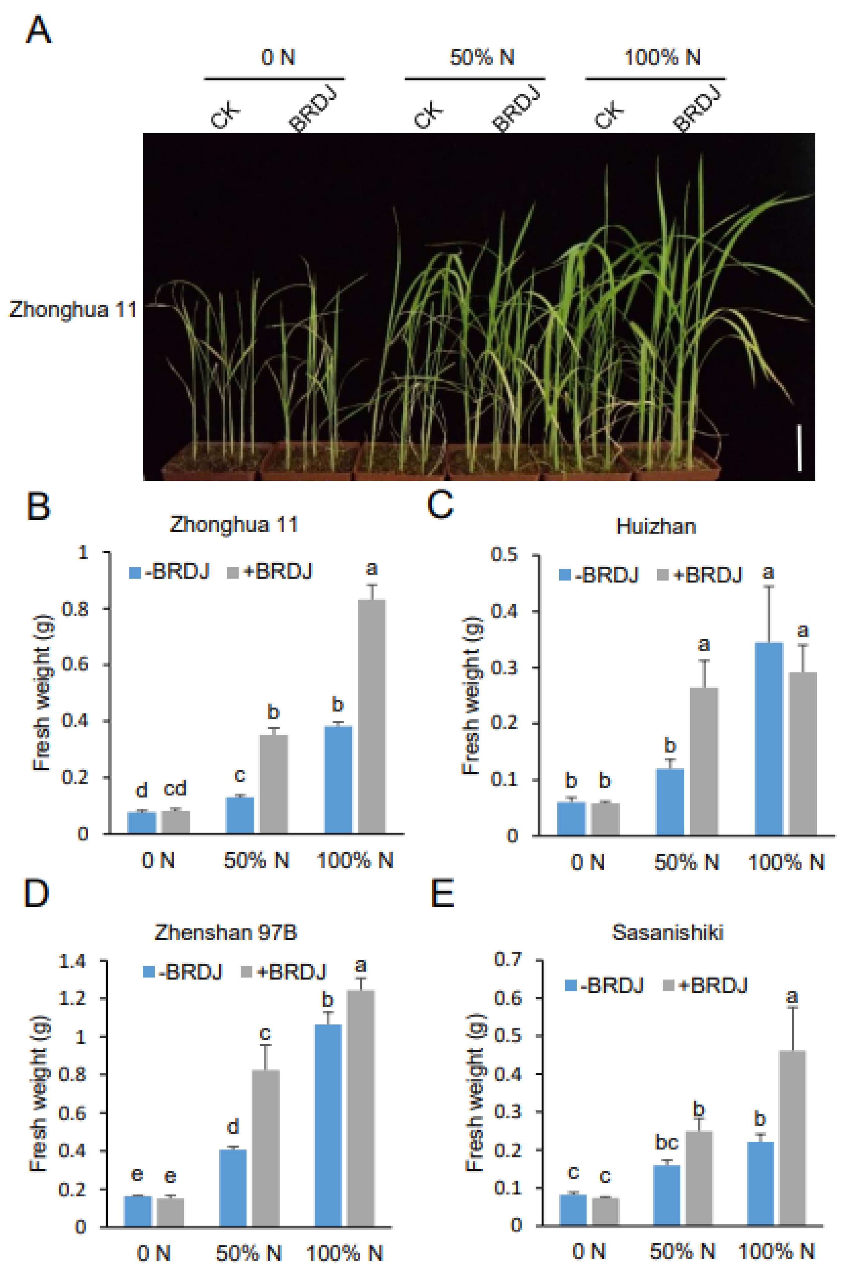 Ijms 23 10769 g002 Ijms 23 10769 g002