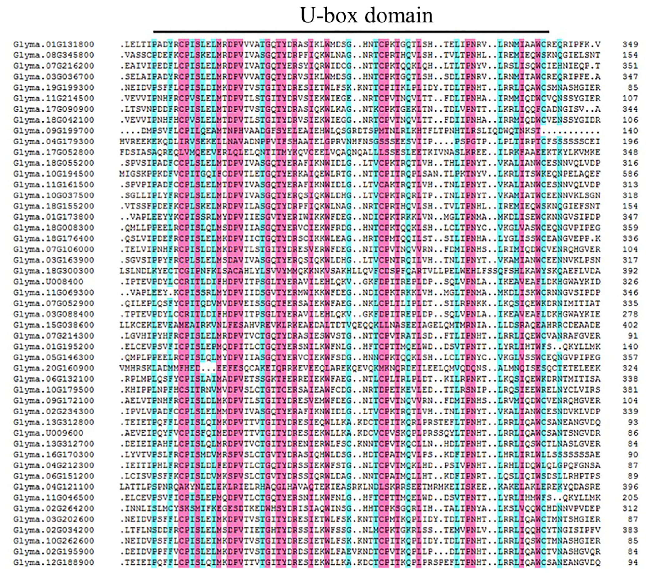 Ijms 23 10771 g001 550