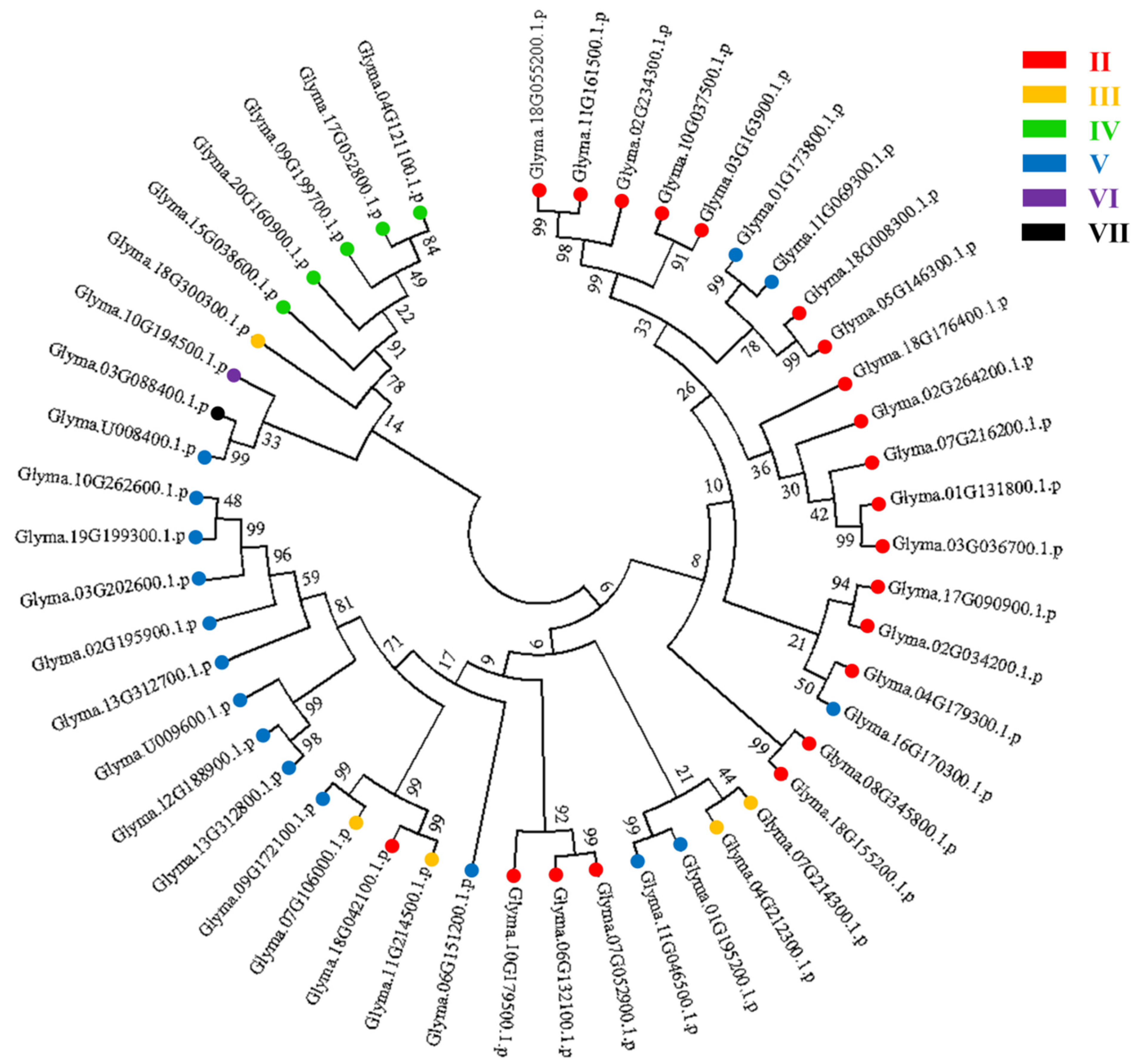 Ijms 23 10771 g002 550