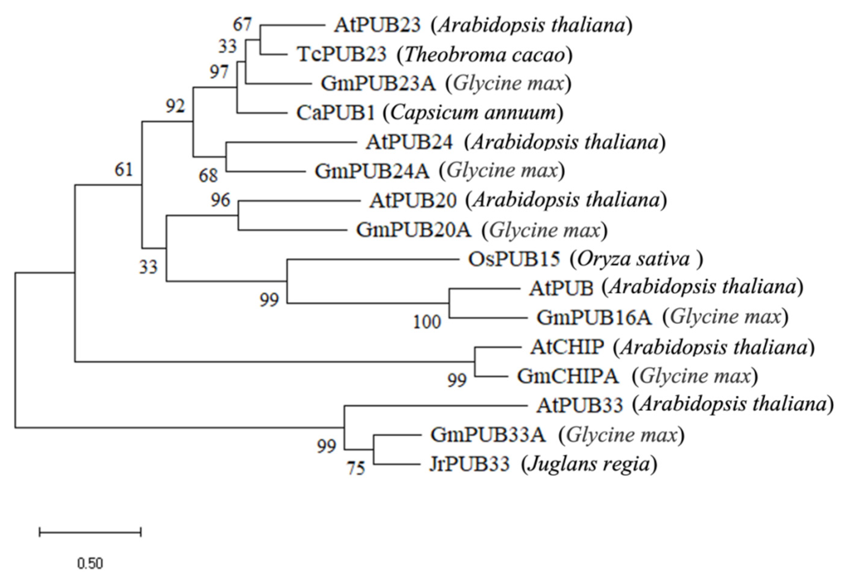 Ijms 23 10771 g005 550