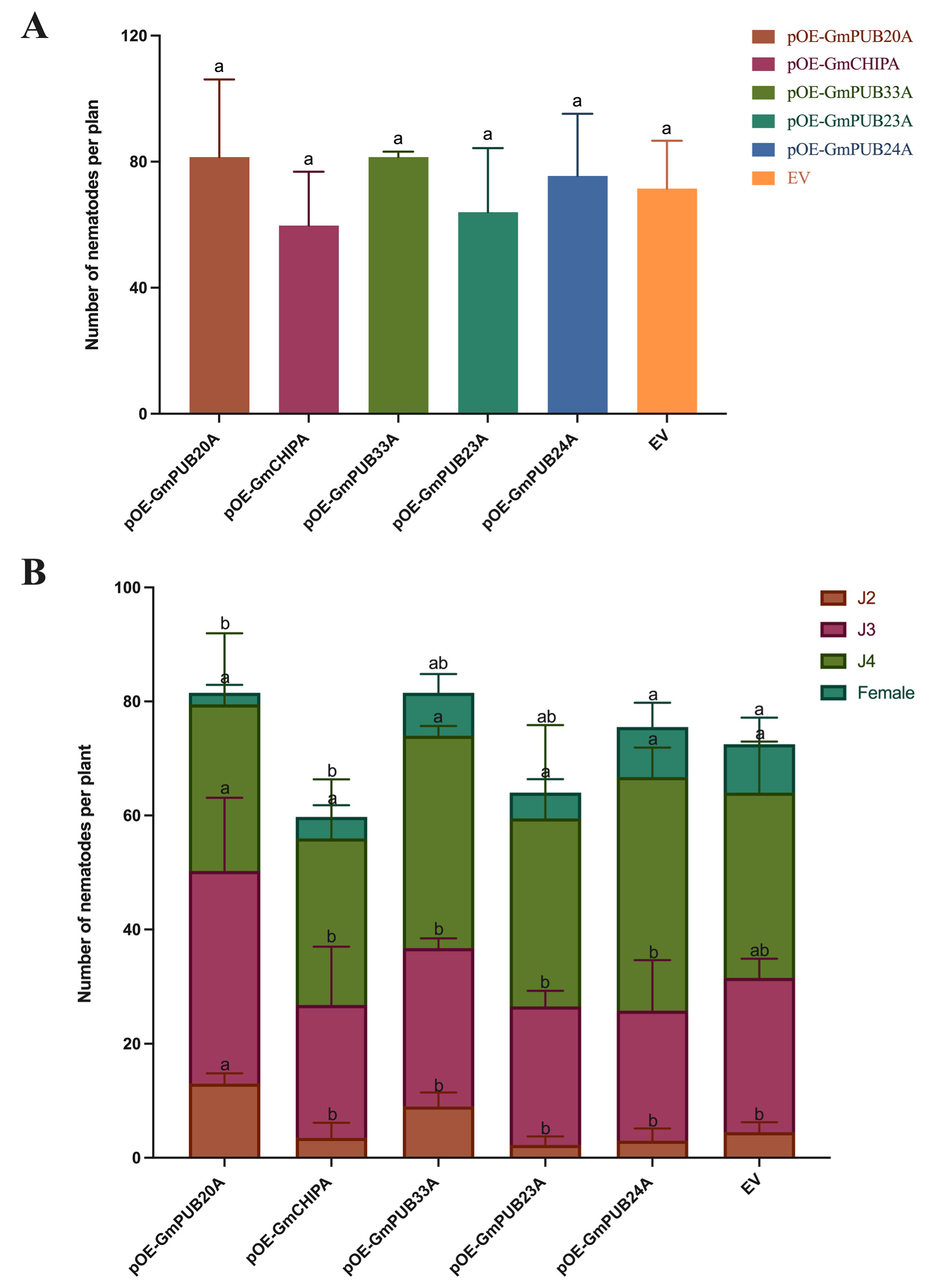 Ijms 23 10771 g008 550
