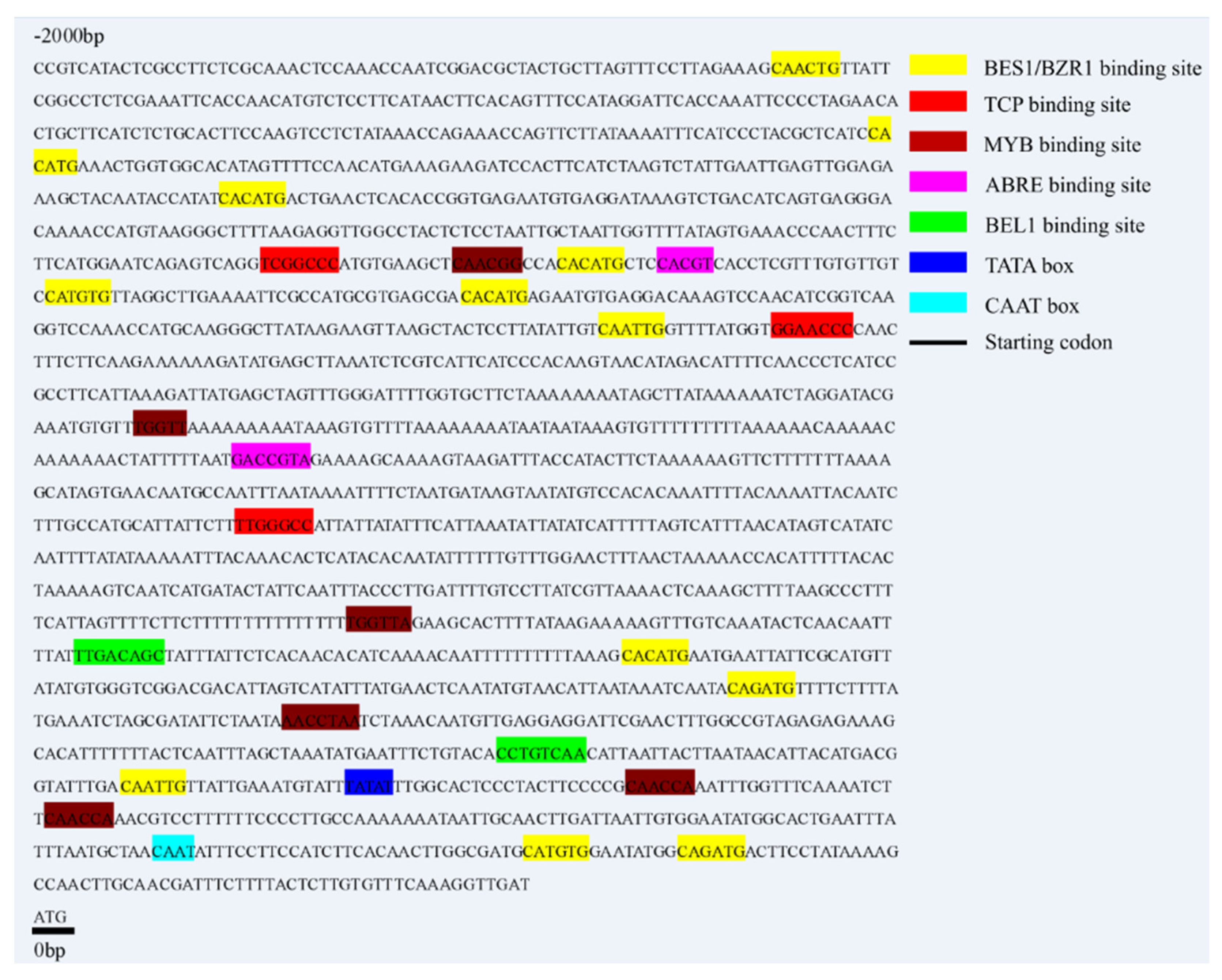 Ijms 23 10781 g001 Ijms 23 10781 g001