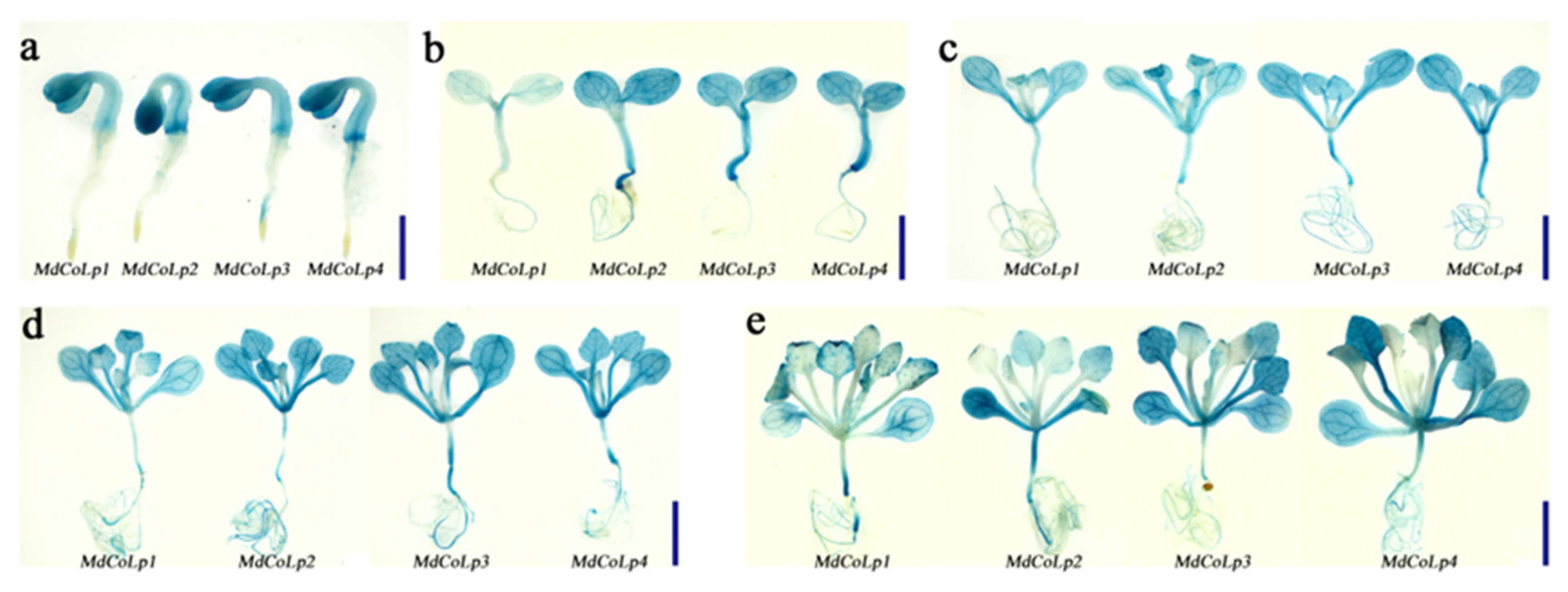 Ijms 23 10781 g004 Ijms 23 10781 g004