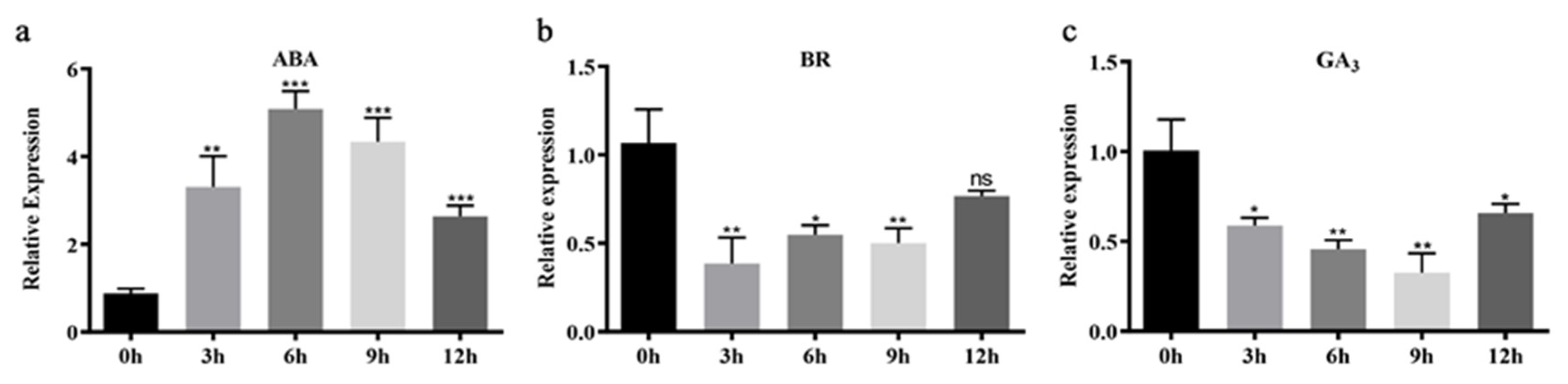 Ijms 23 10781 g008 Ijms 23 10781 g008