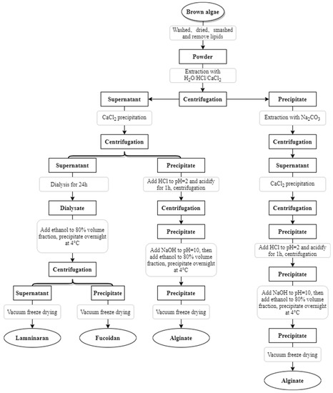 IJMS | Free Full-Text | Research Progress on the Protective Effect 