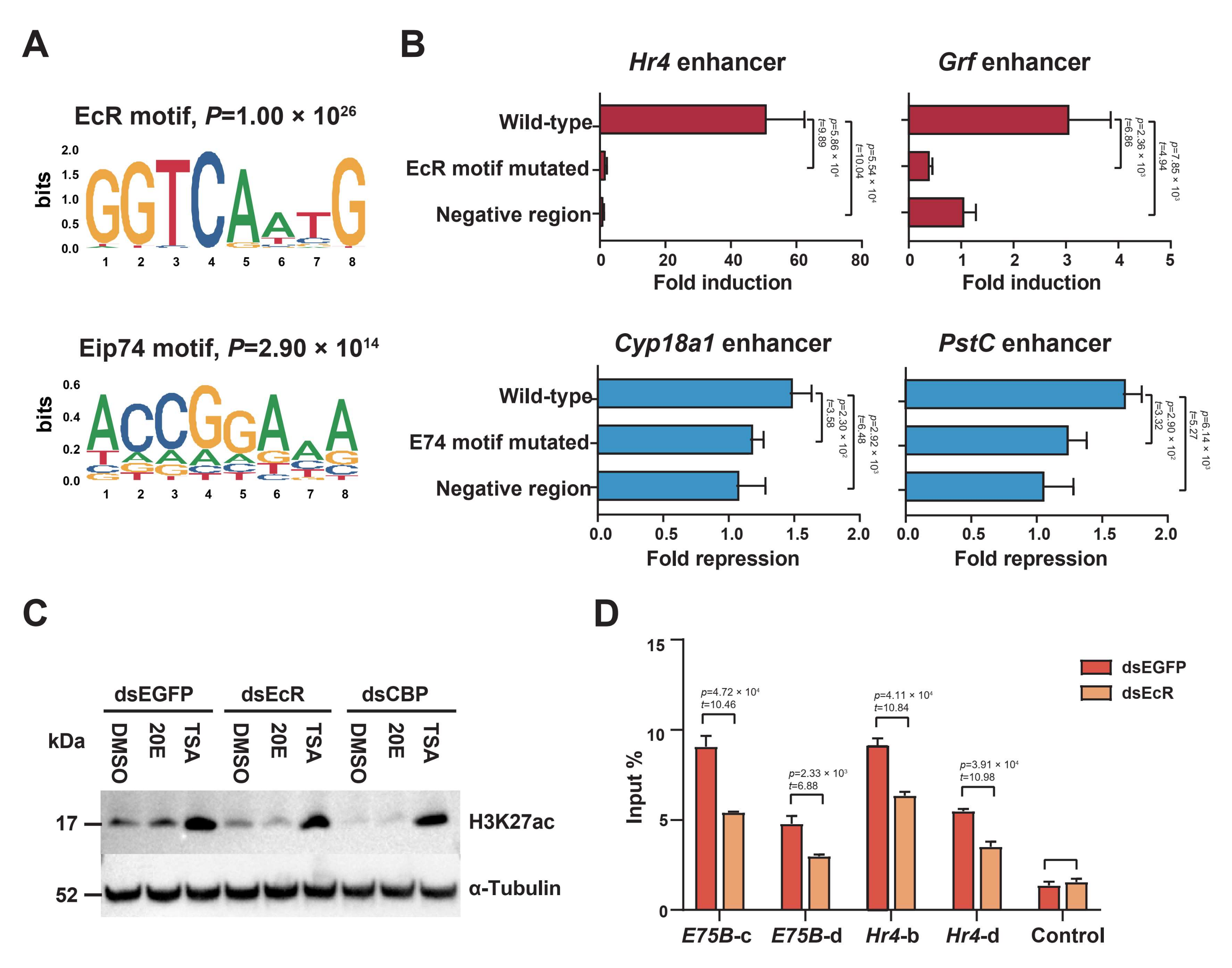 Ijms 23 10791 g004 Ijms 23 10791 g004