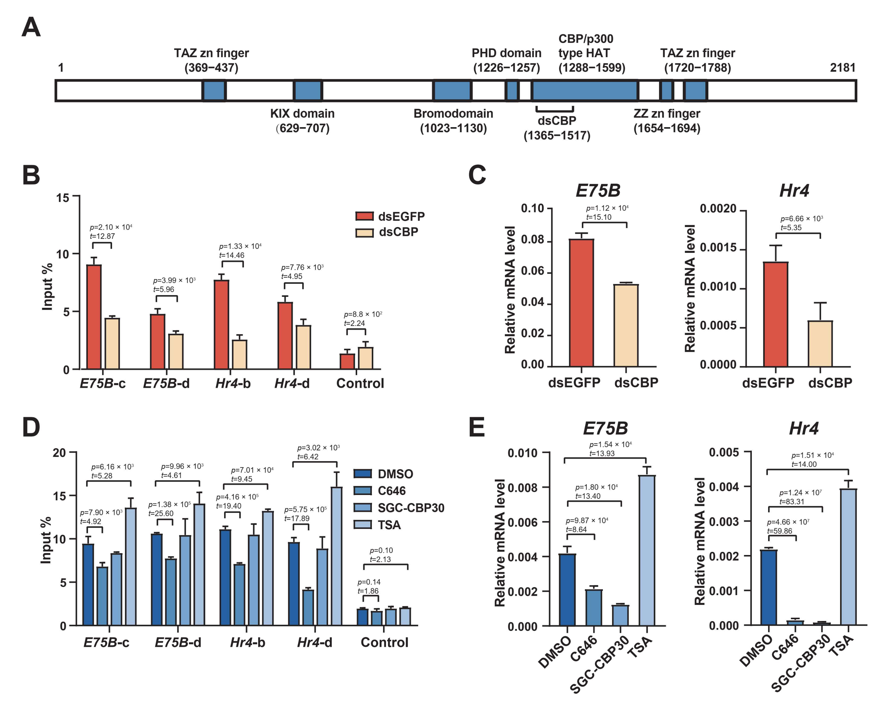 Ijms 23 10791 g005 Ijms 23 10791 g005