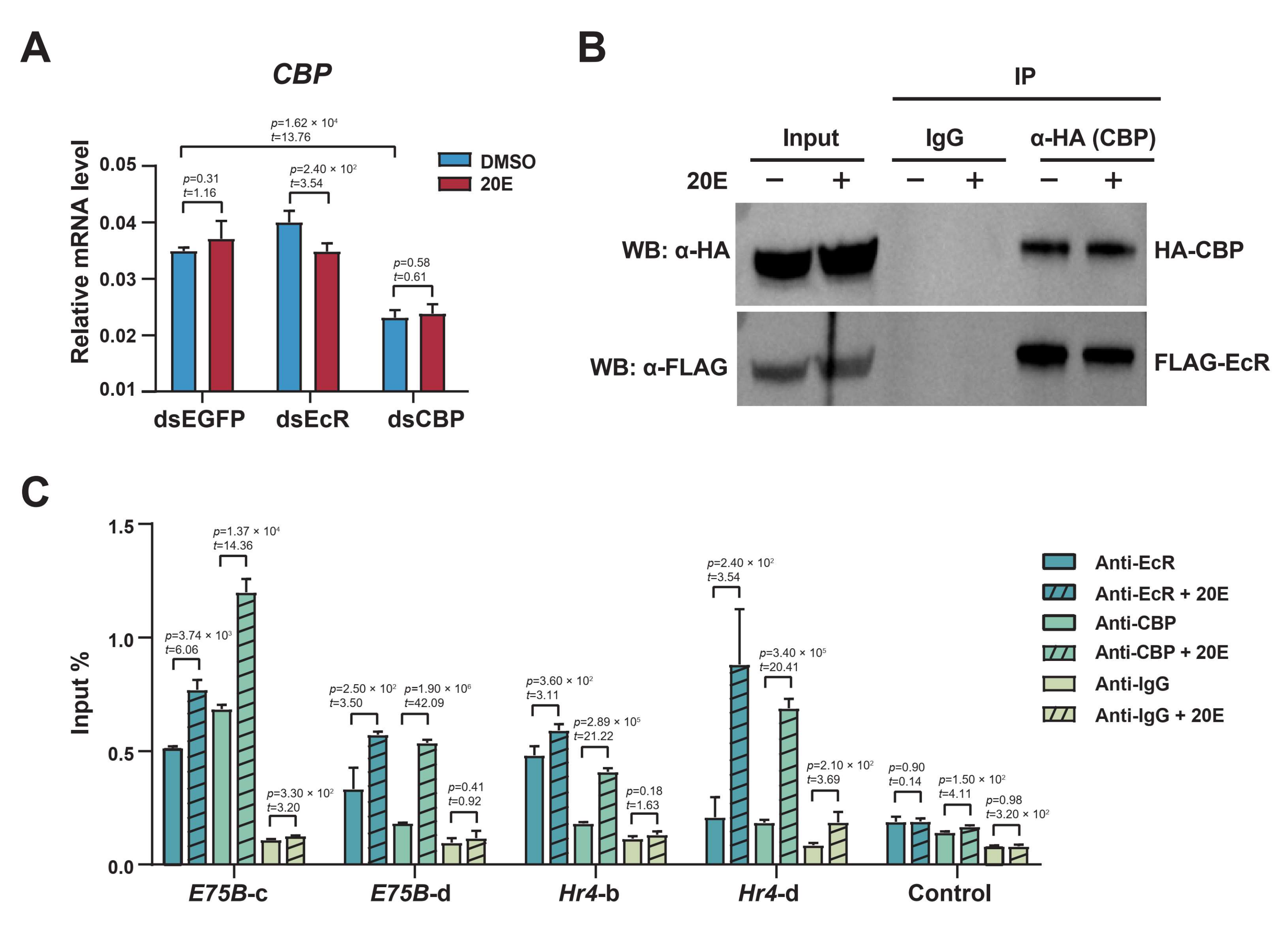 Ijms 23 10791 g006 Ijms 23 10791 g006