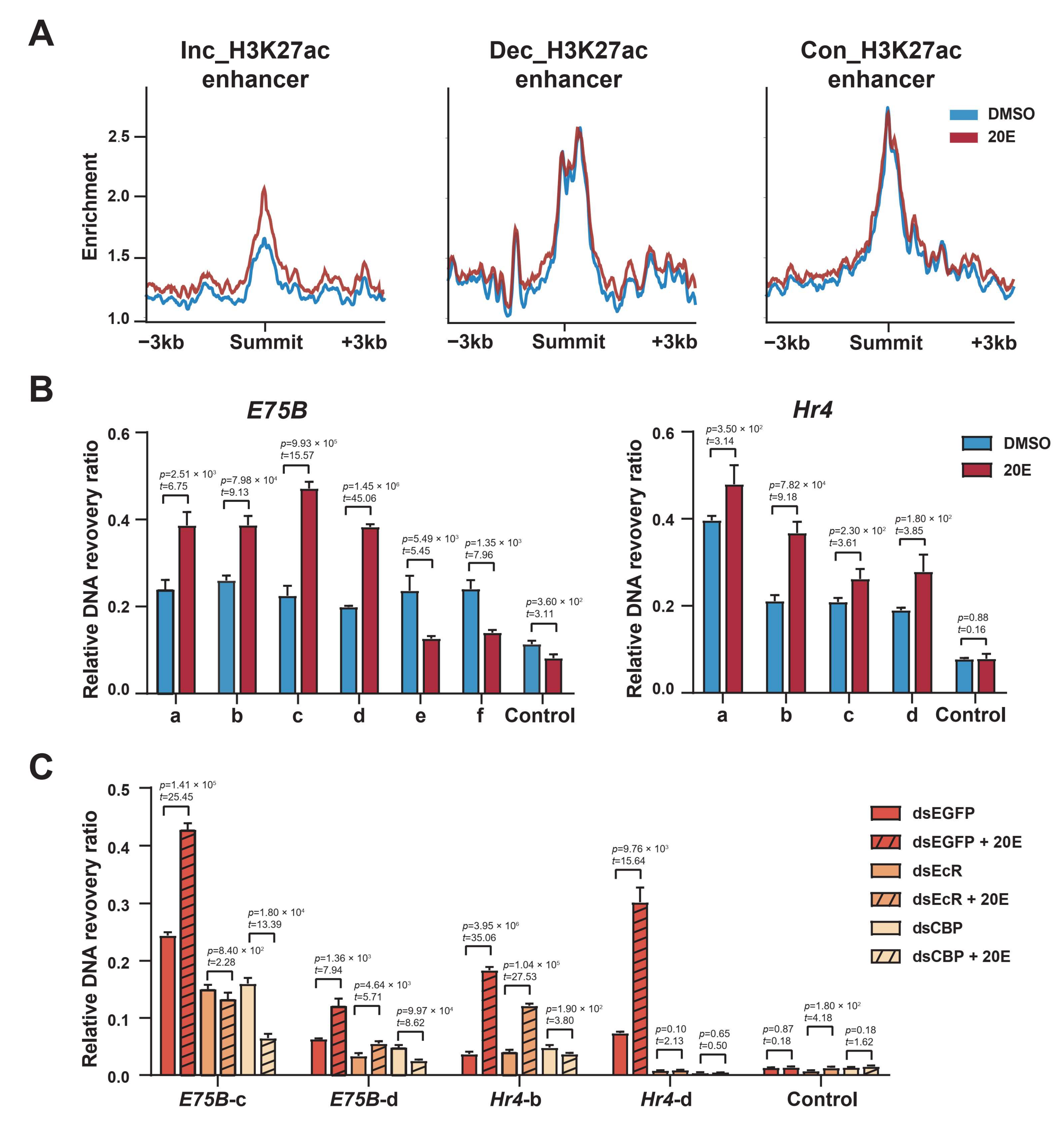Ijms 23 10791 g007 Ijms 23 10791 g007