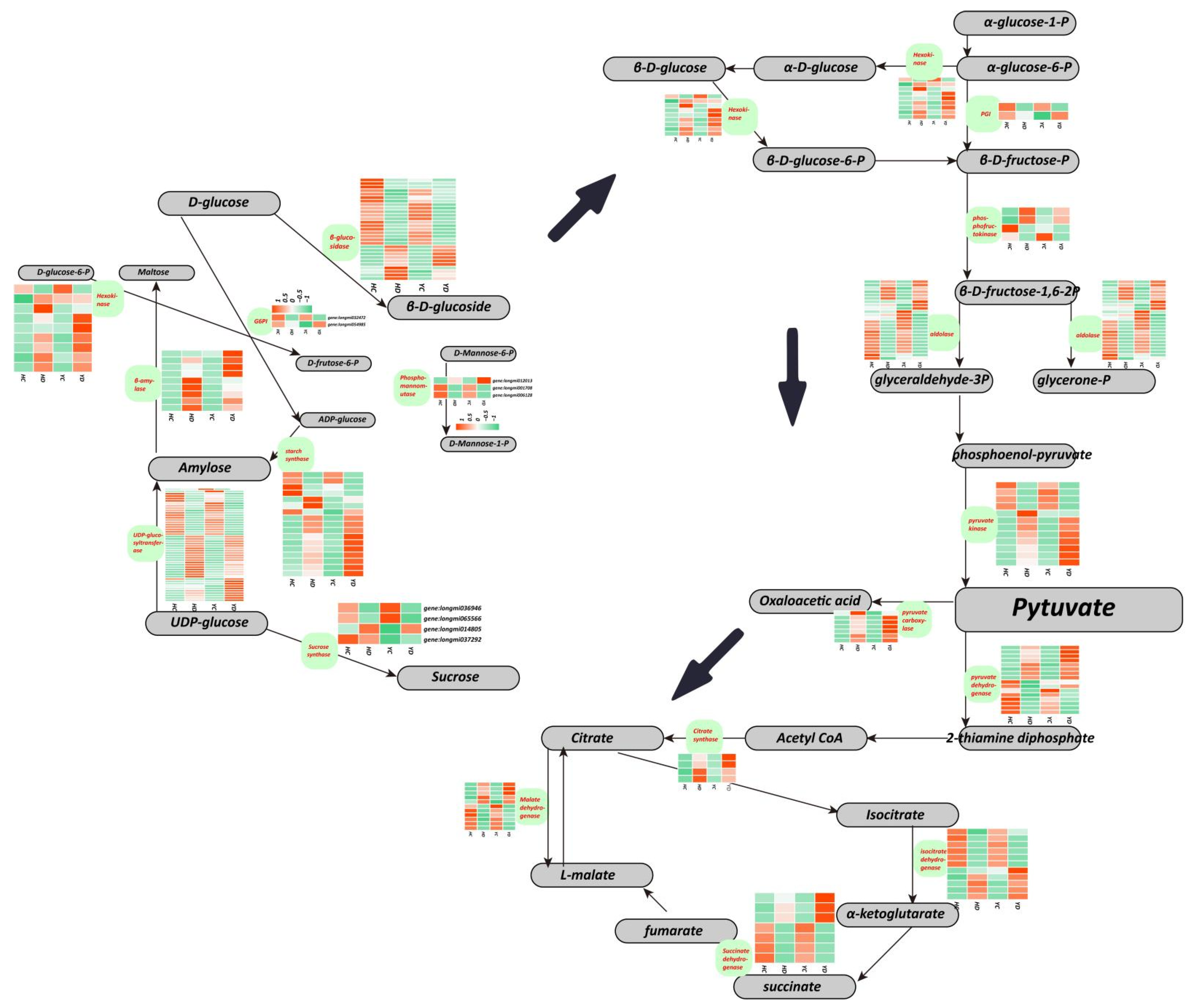 Ijms 23 10792 g001 Ijms 23 10792 g001