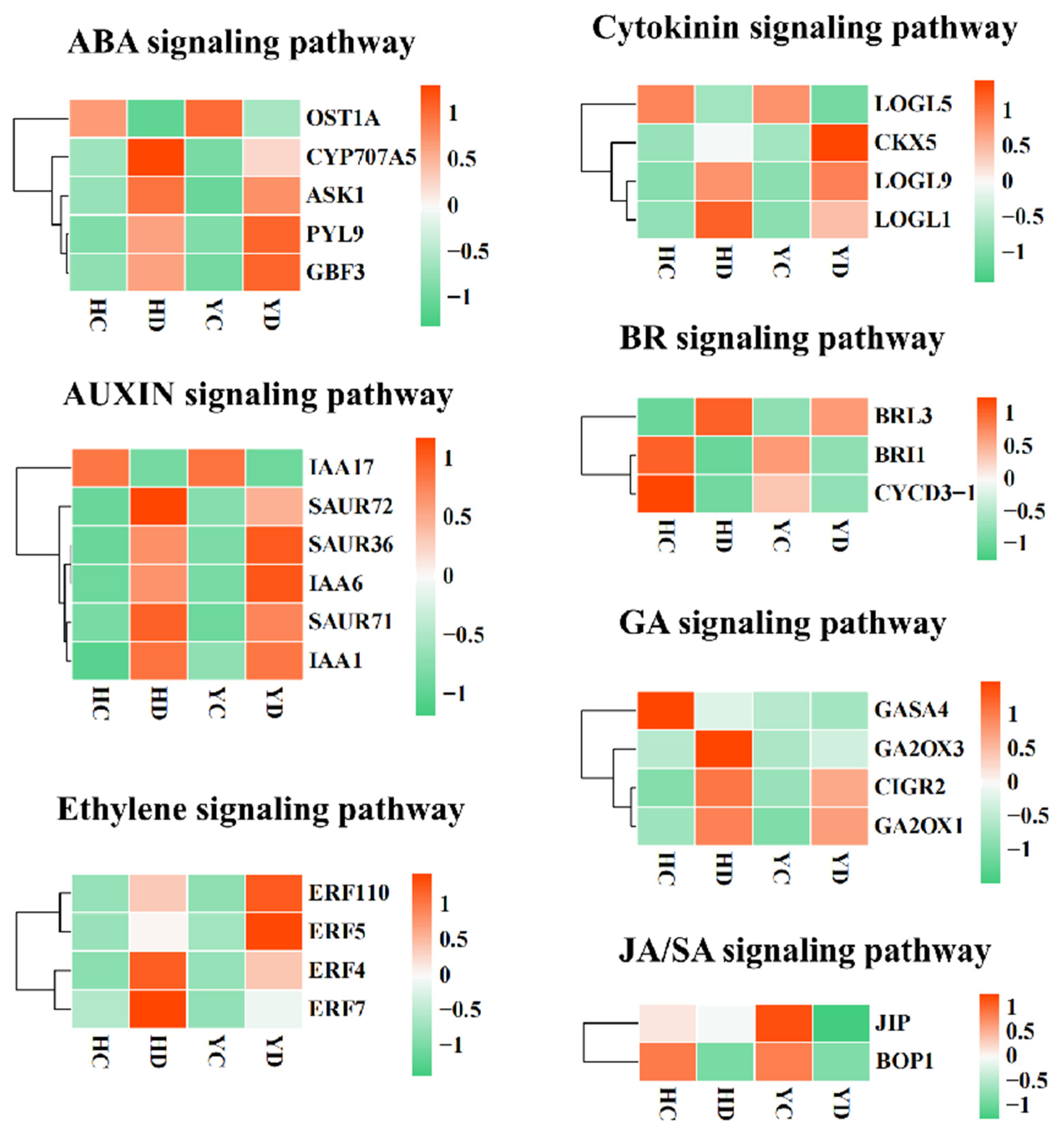 Ijms 23 10792 g002 Ijms 23 10792 g002