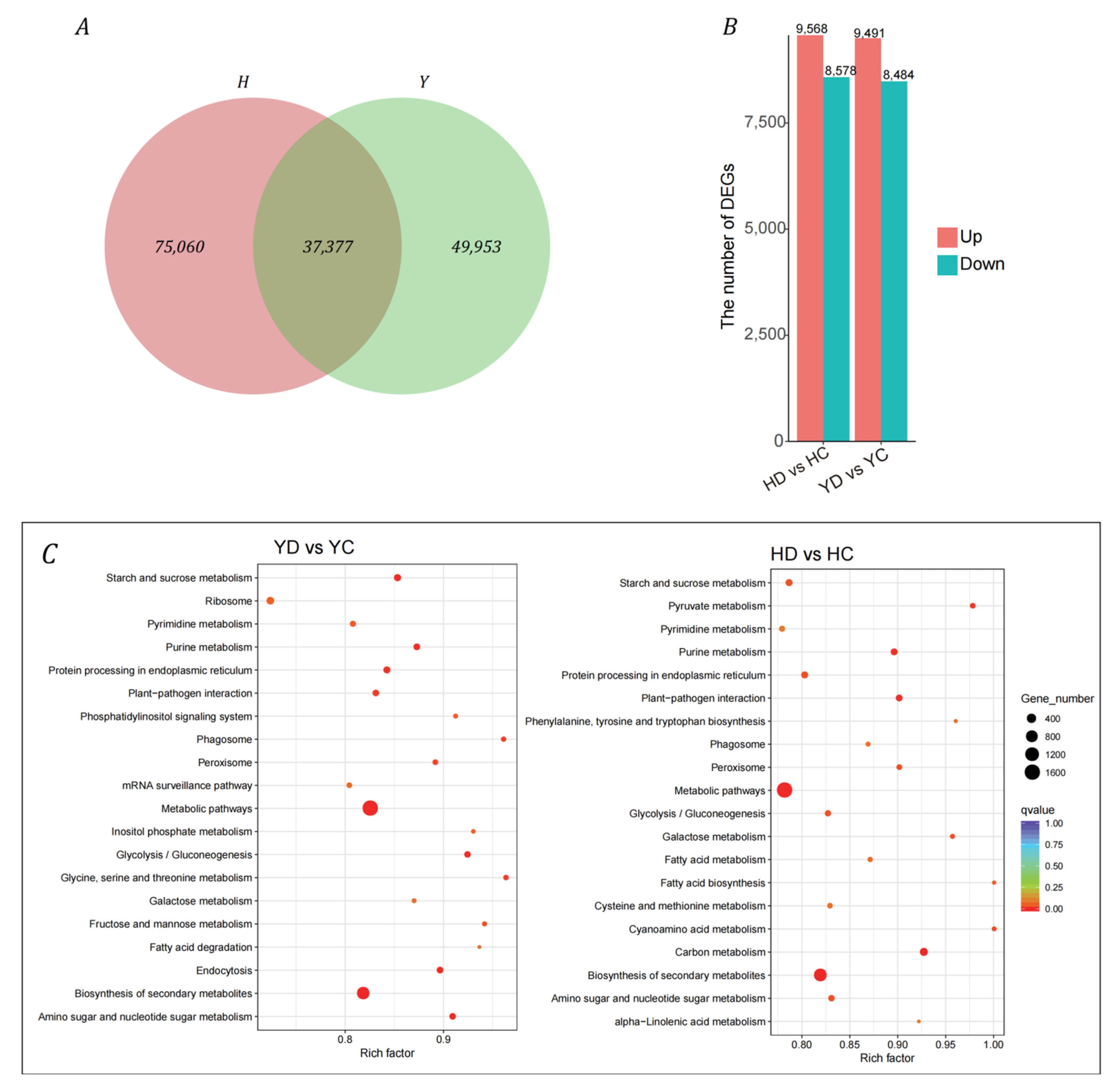 Ijms 23 10792 g0a1 Ijms 23 10792 g0a1