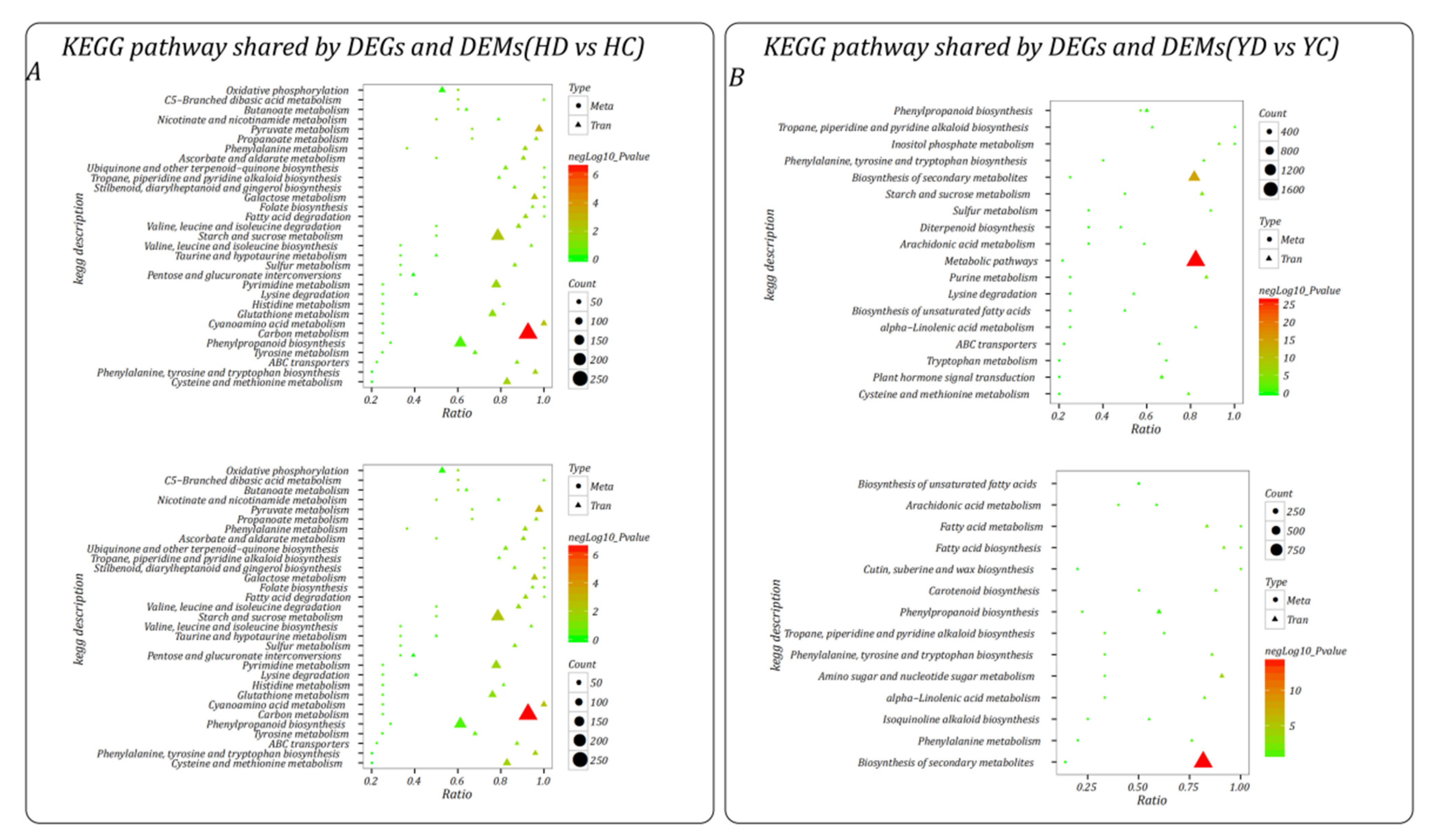 Ijms 23 10792 g0a3 Ijms 23 10792 g0a3