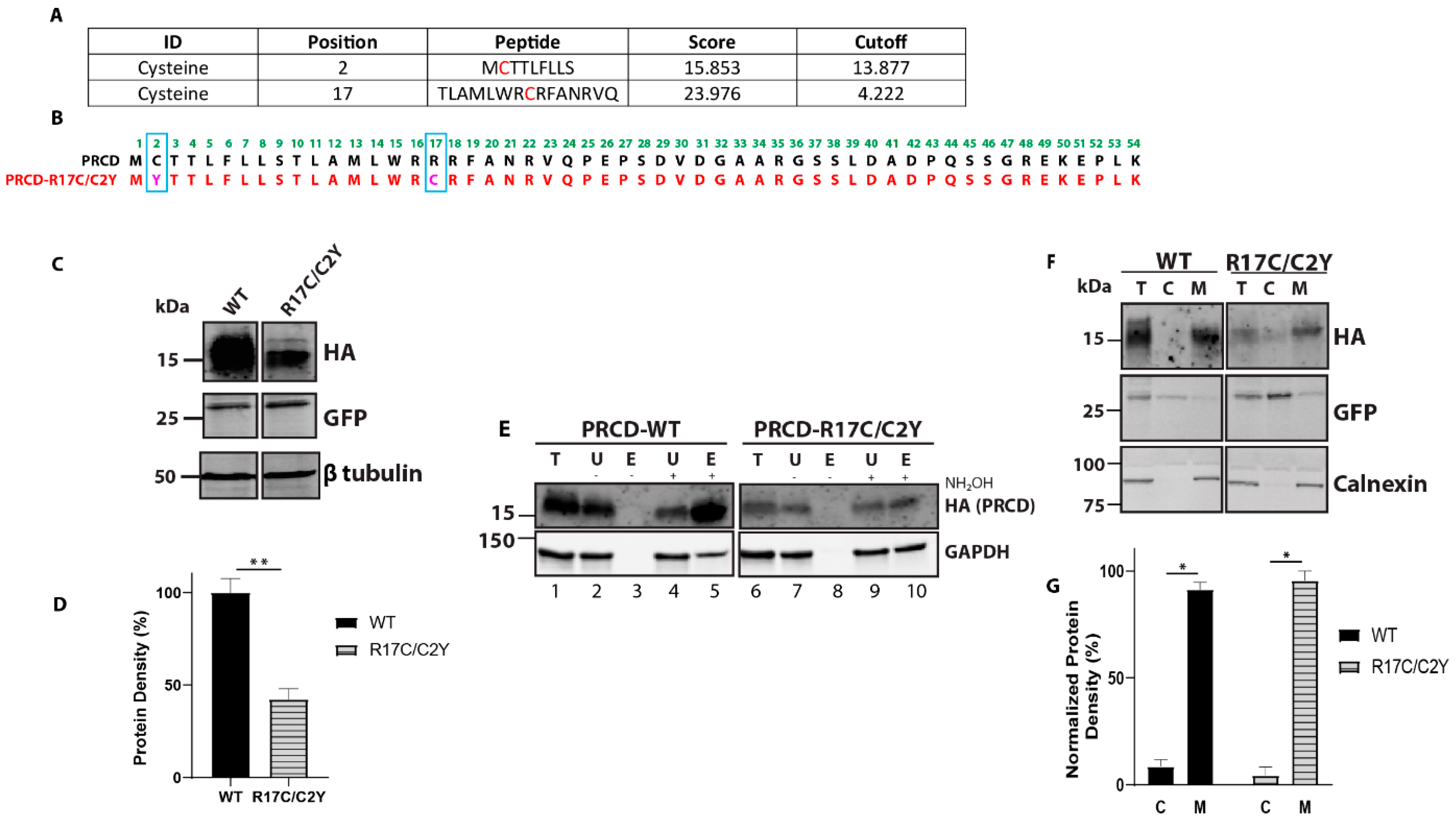 Ijms 23 10802 g003 Ijms 23 10802 g003
