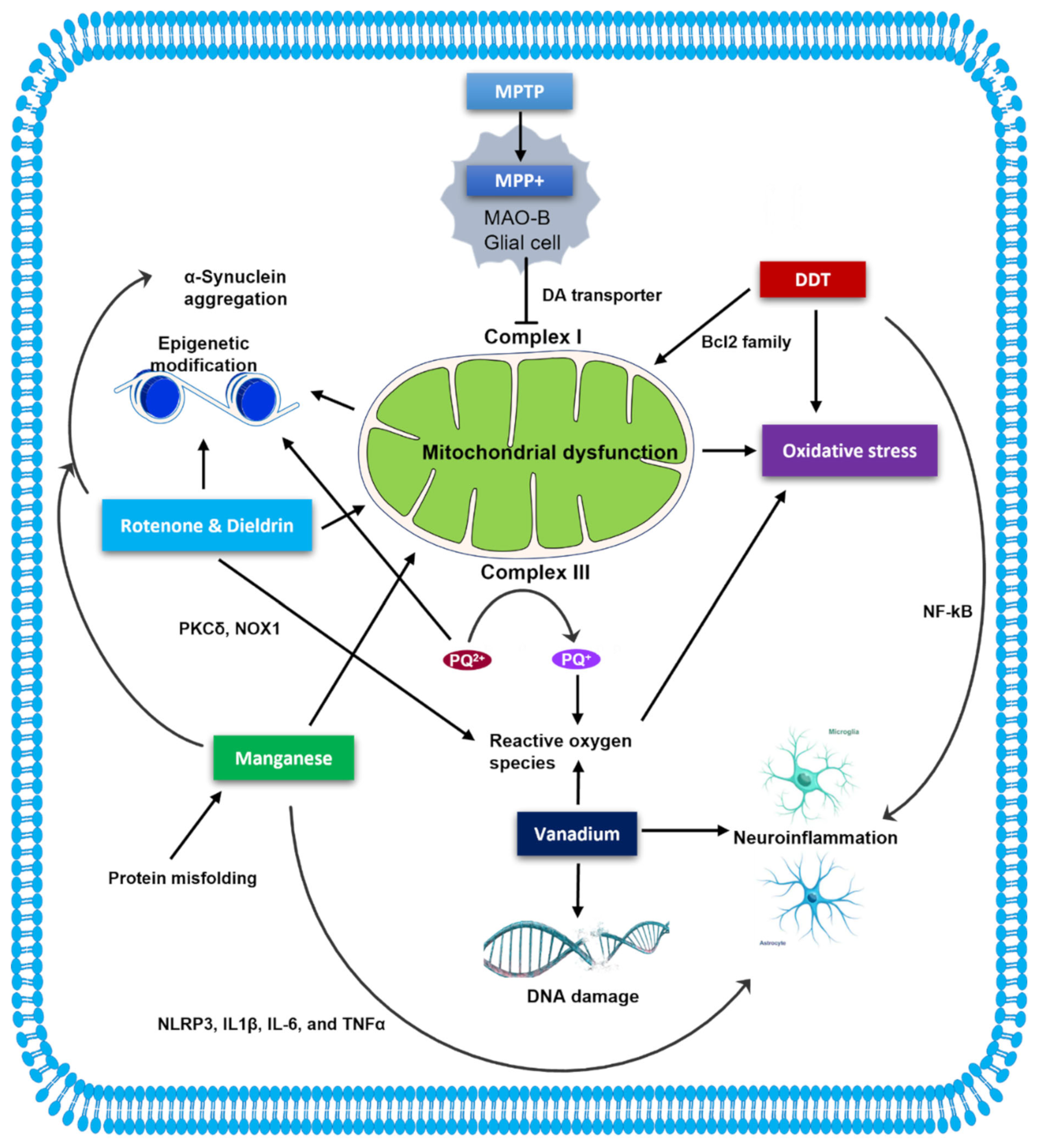 Ijms 23 10808 g001 Ijms 23 10808 g001