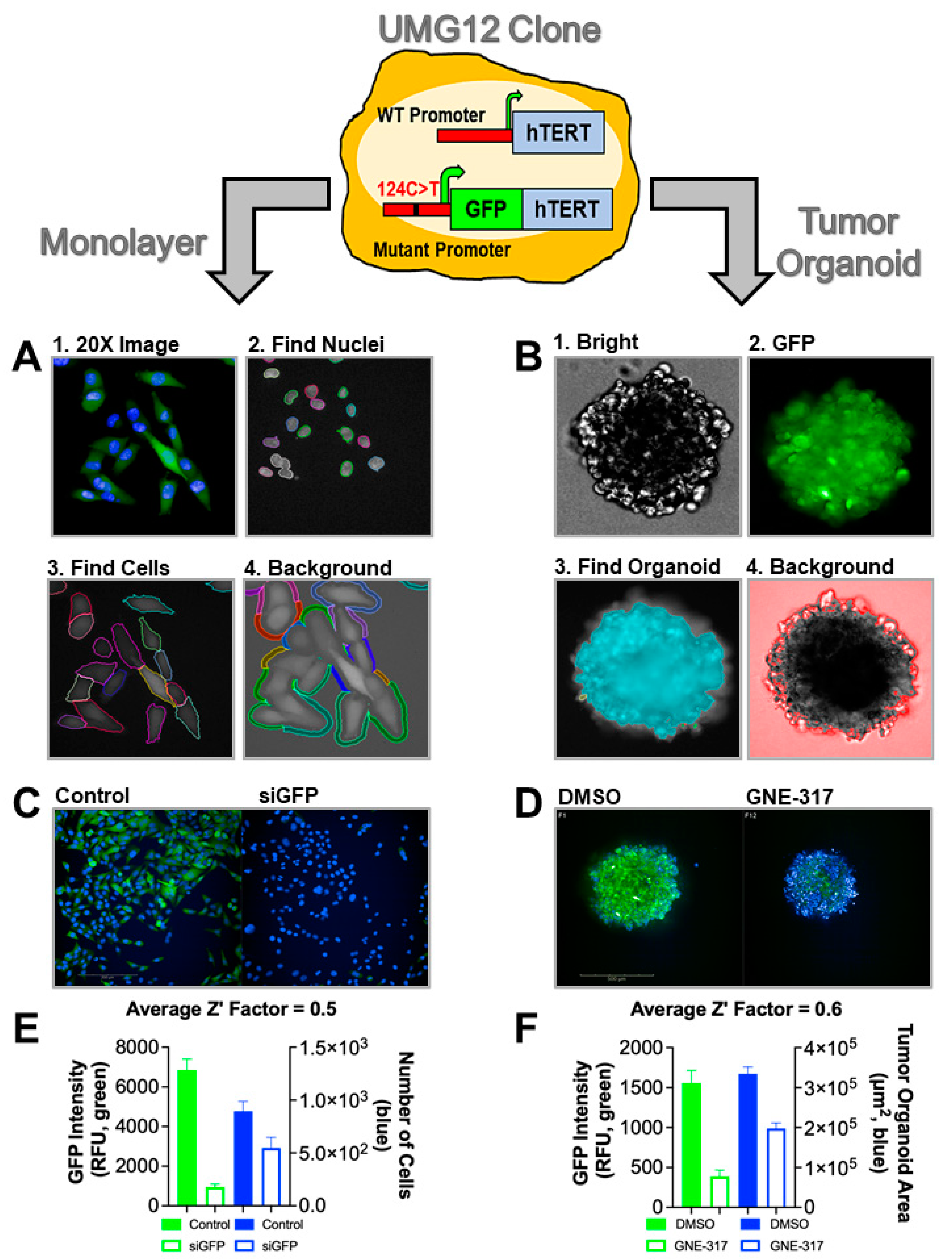 Ijms 23 10819 g001 Ijms 23 10819 g001