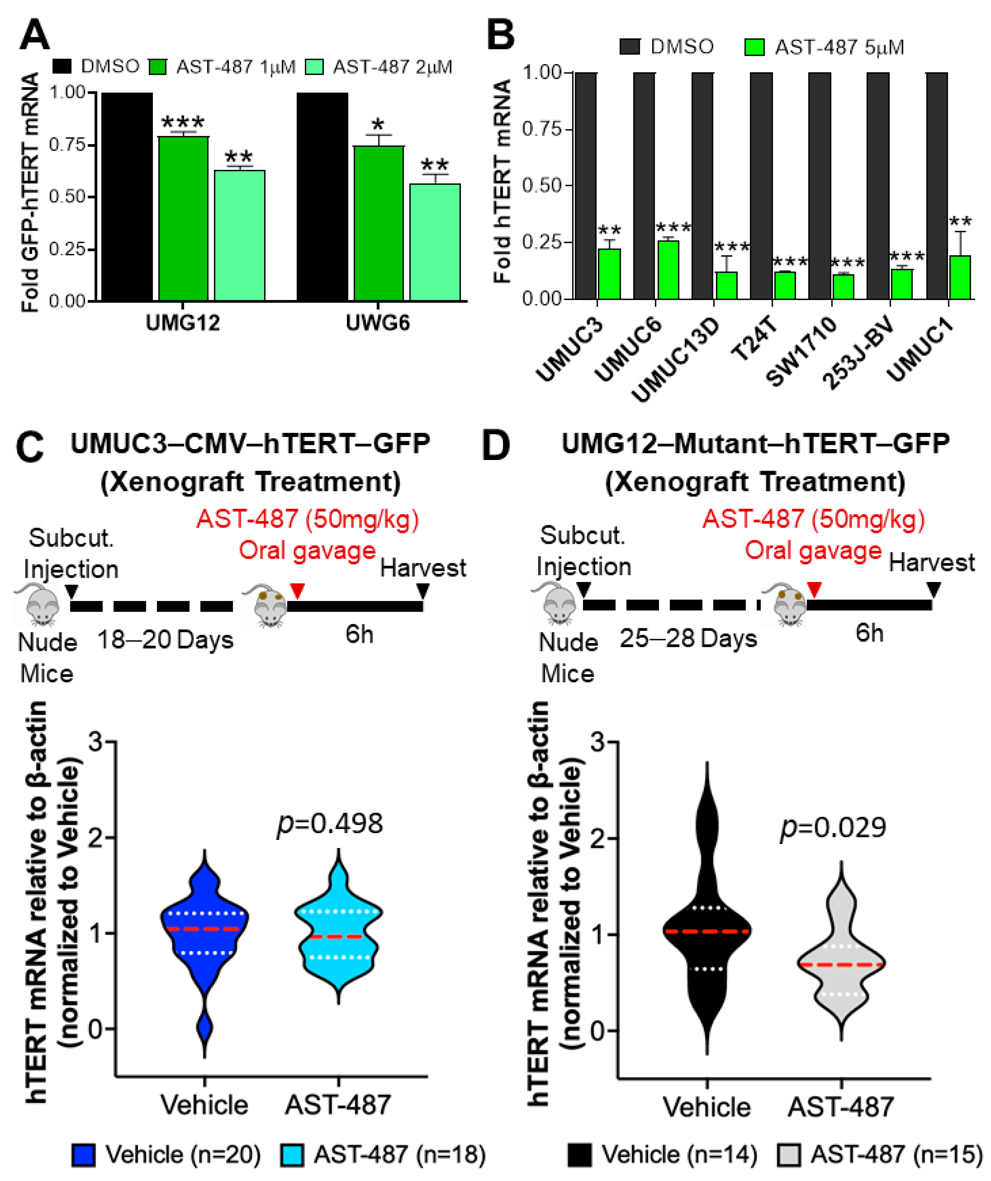 Ijms 23 10819 g004 Ijms 23 10819 g004