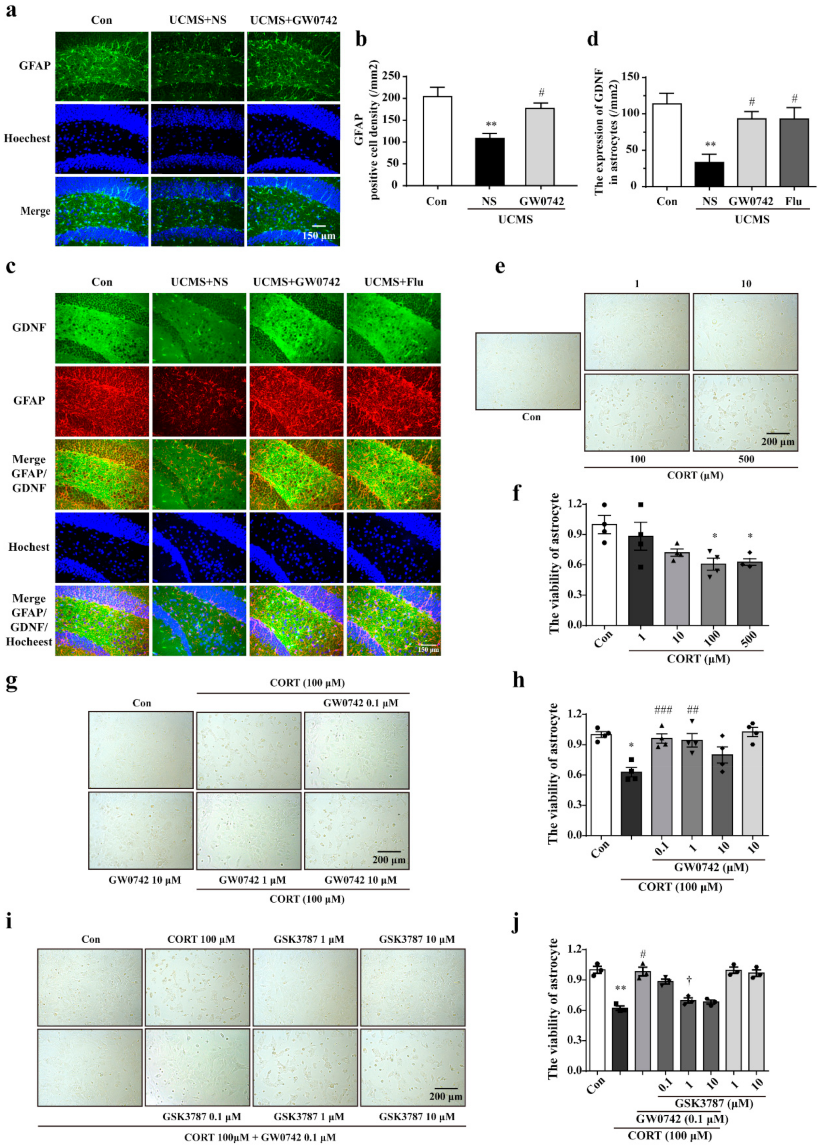 Ijms 23 10822 g002 Ijms 23 10822 g002