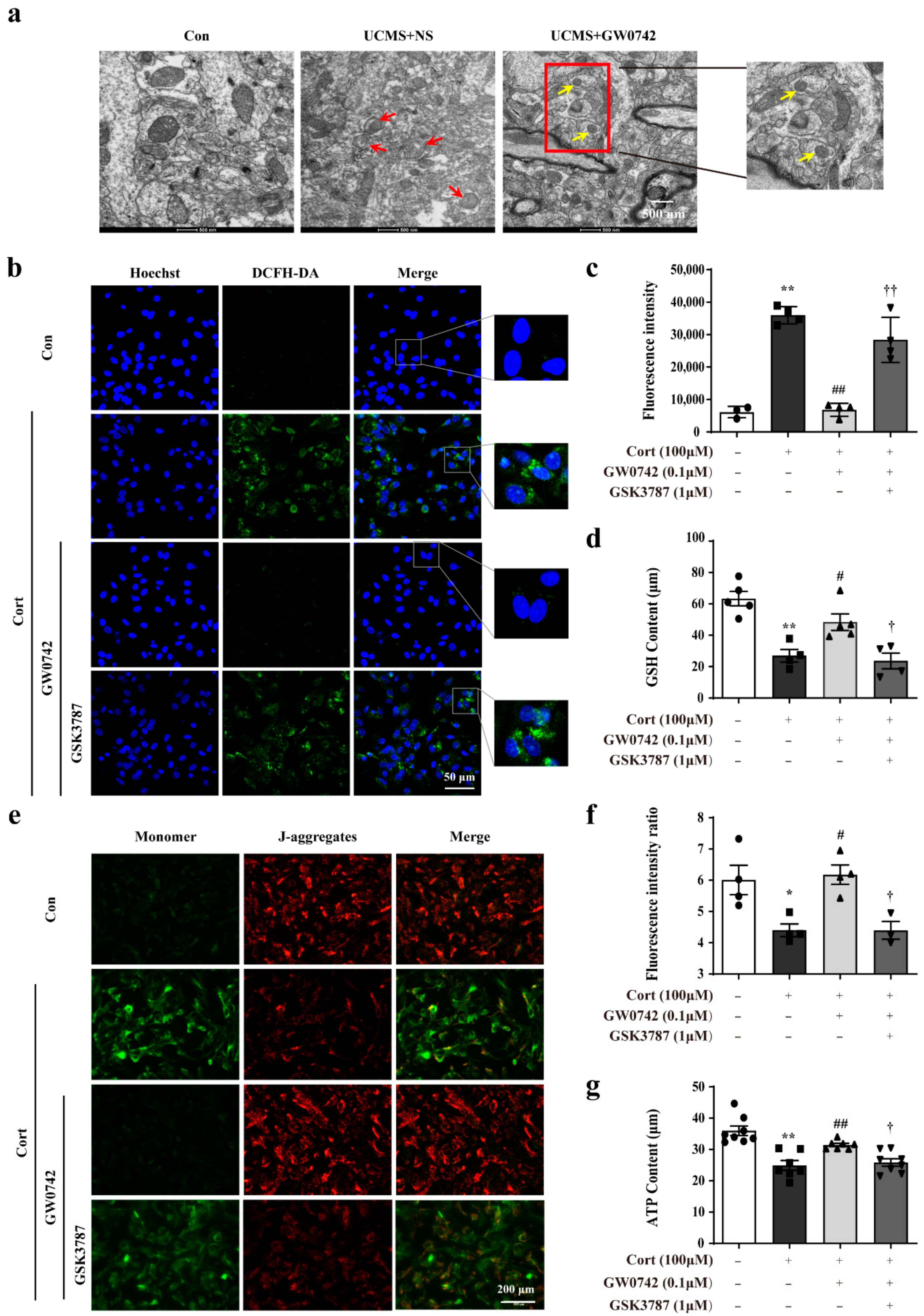 Ijms 23 10822 g003 Ijms 23 10822 g003