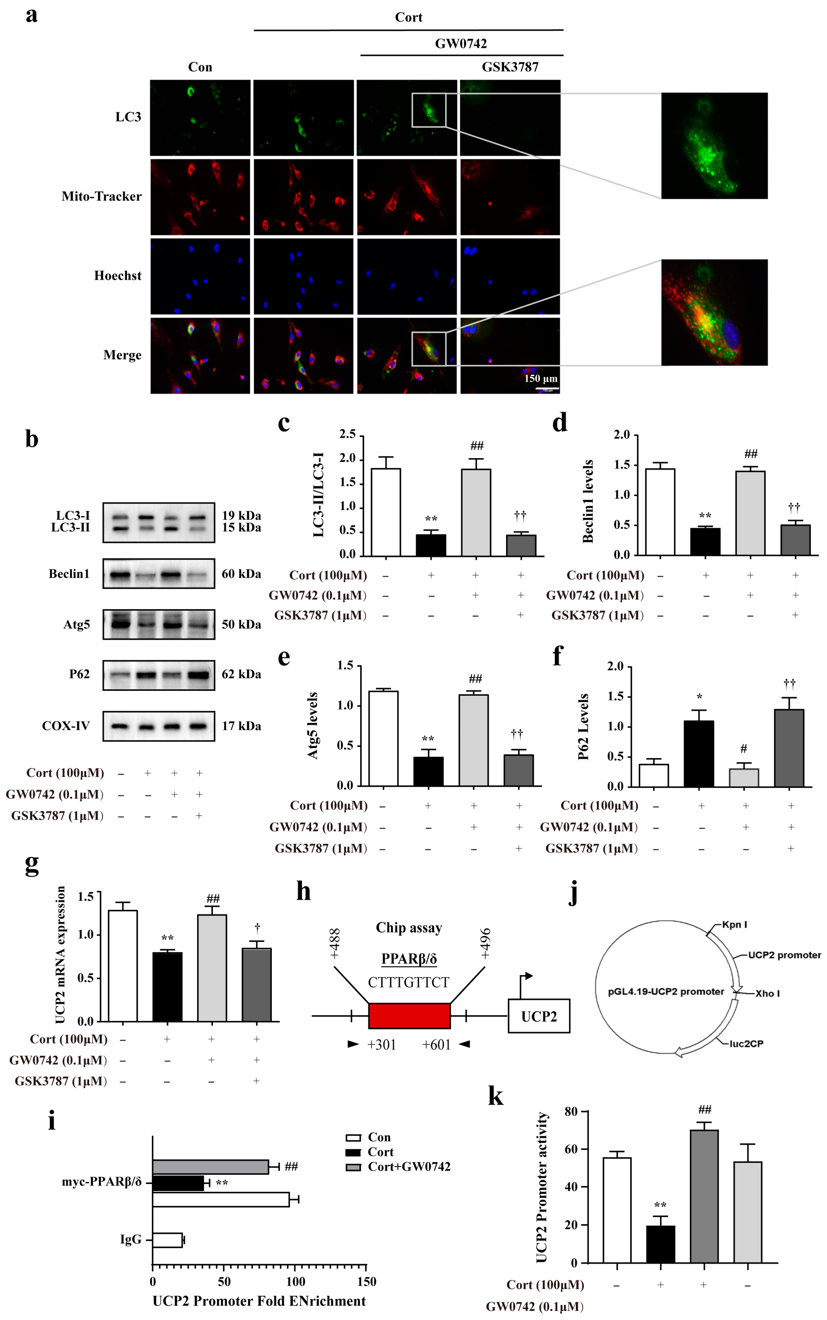 Ijms 23 10822 g004 Ijms 23 10822 g004