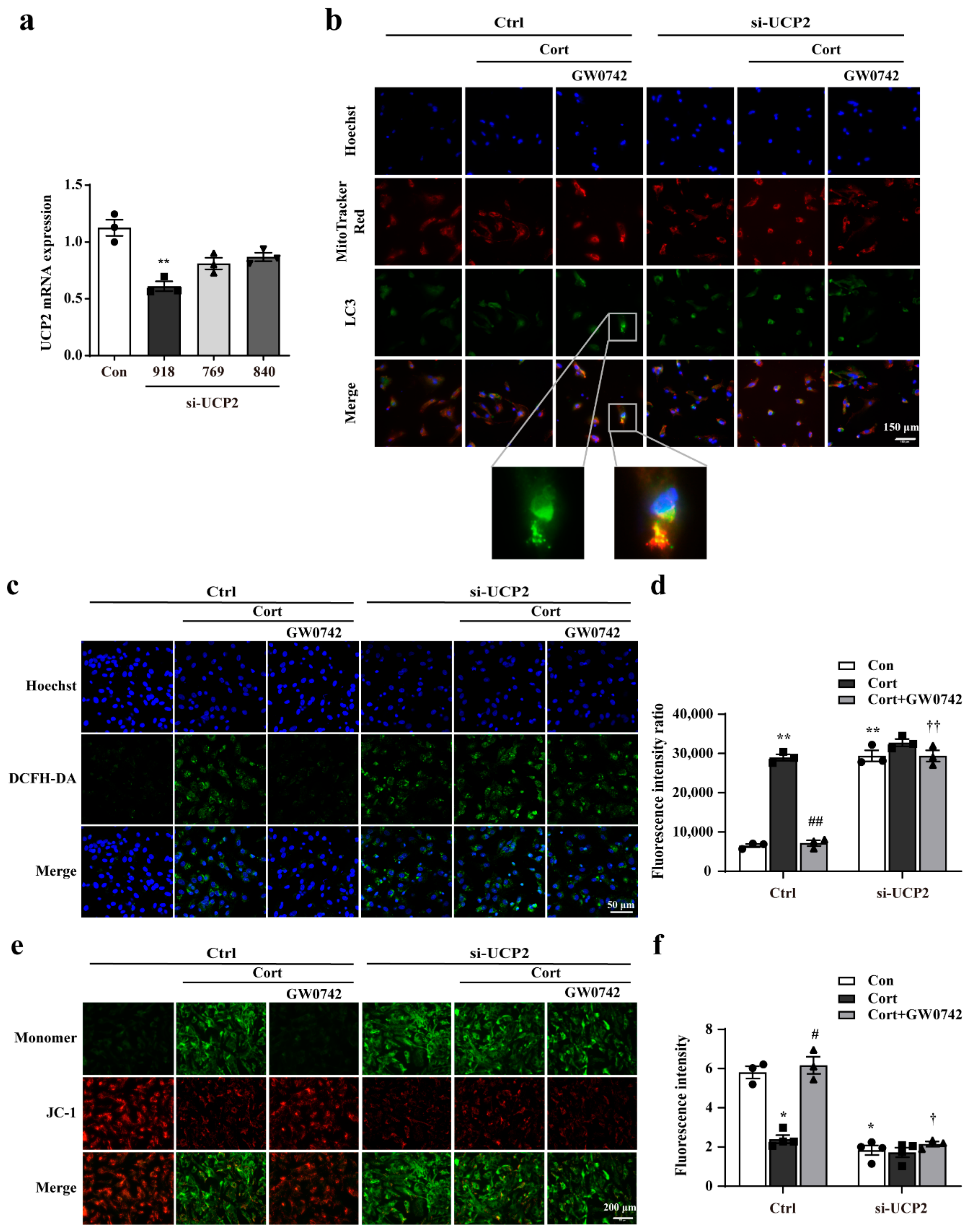 Ijms 23 10822 g005 Ijms 23 10822 g005