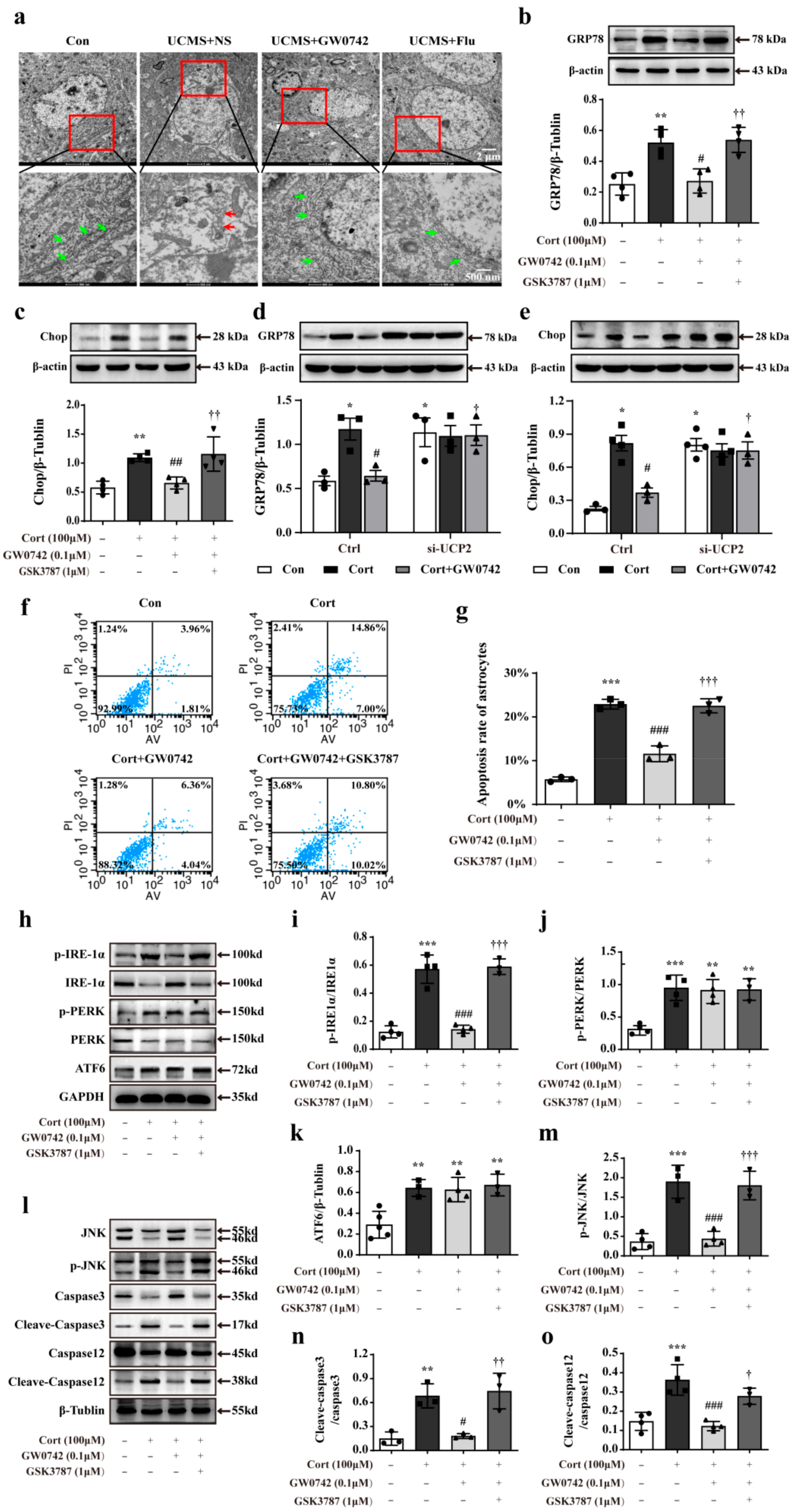 Ijms 23 10822 g006 Ijms 23 10822 g006