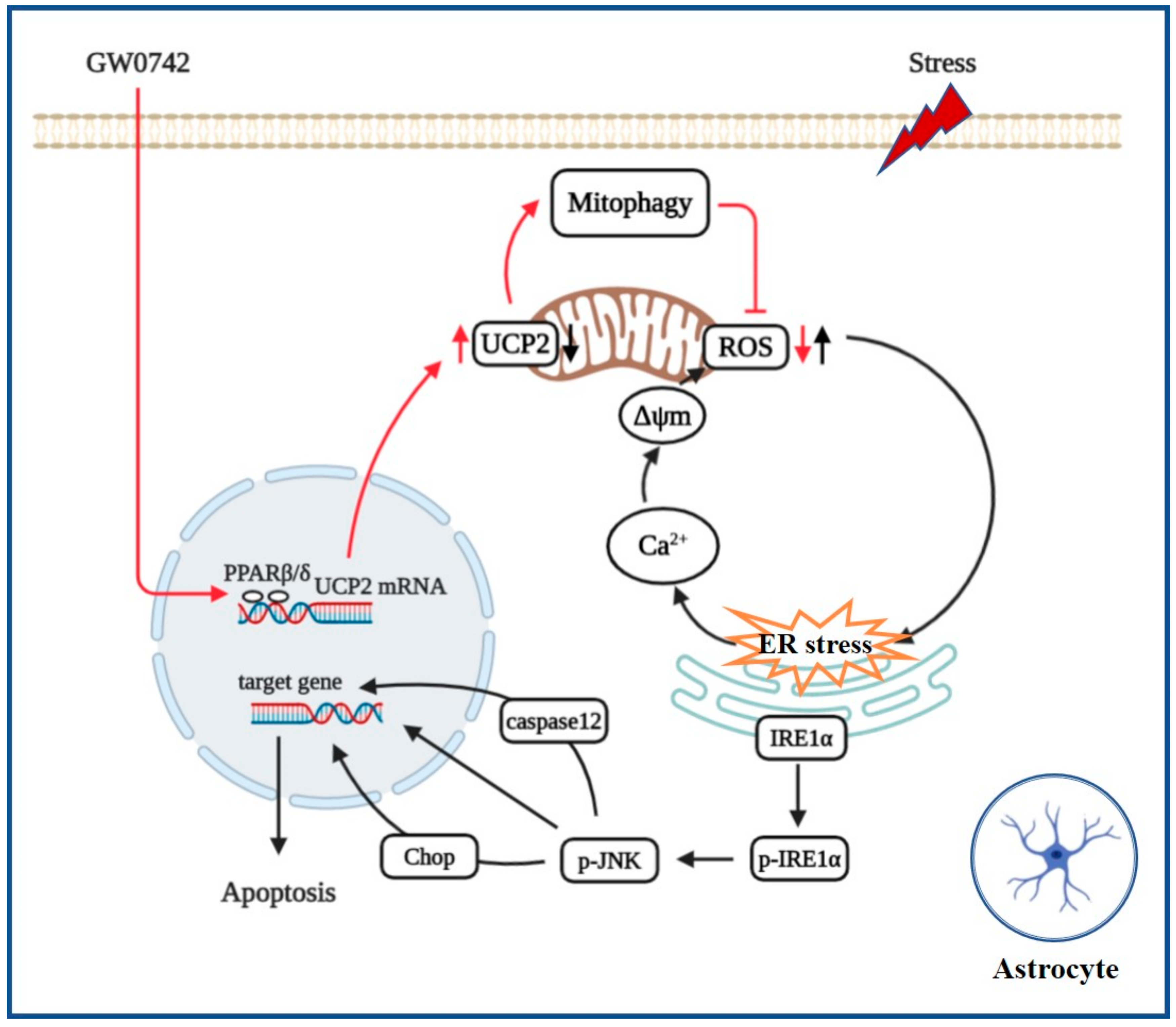 Ijms 23 10822 g007 Ijms 23 10822 g007