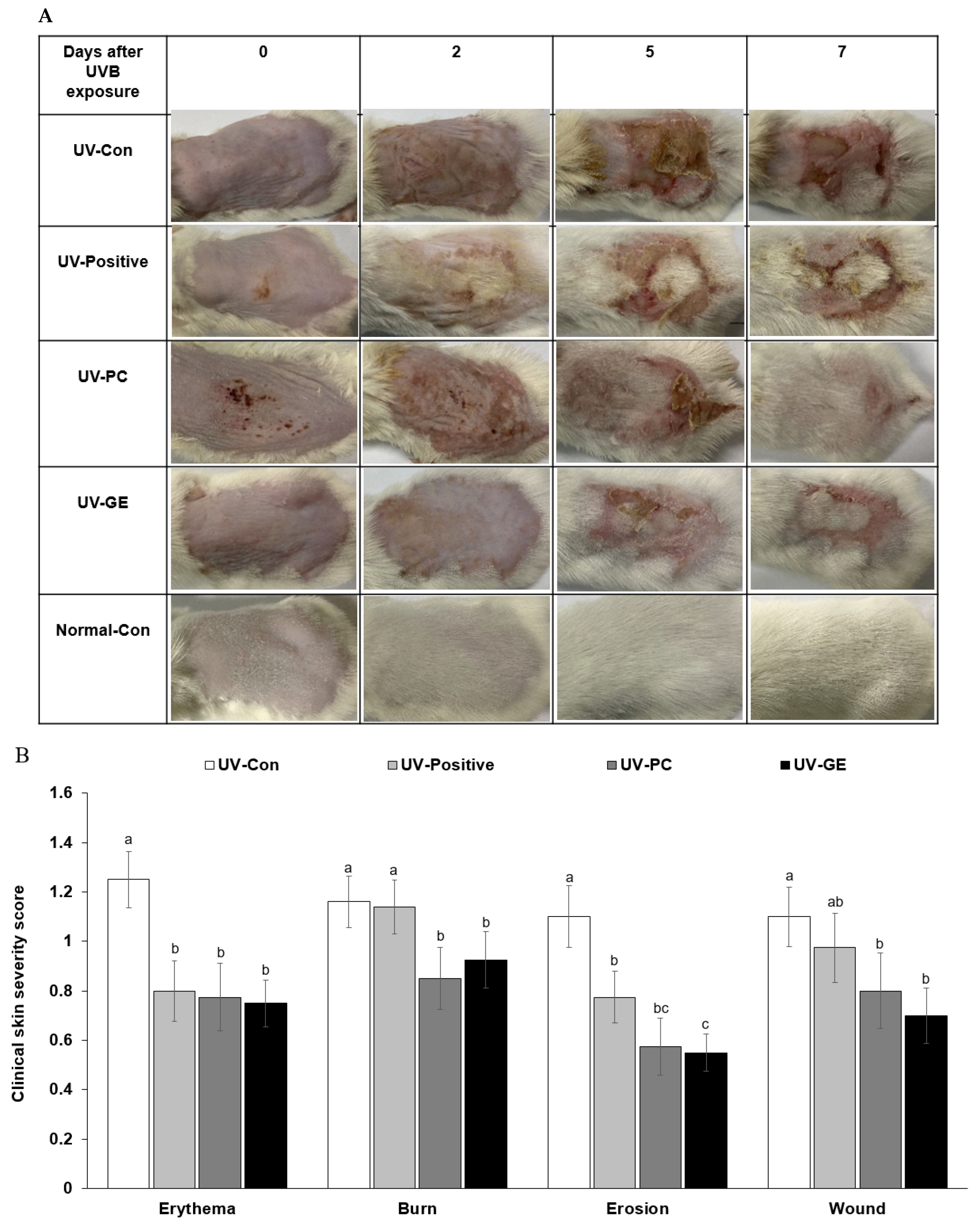 Ijms 23 10833 g001a Ijms 23 10833 g001a