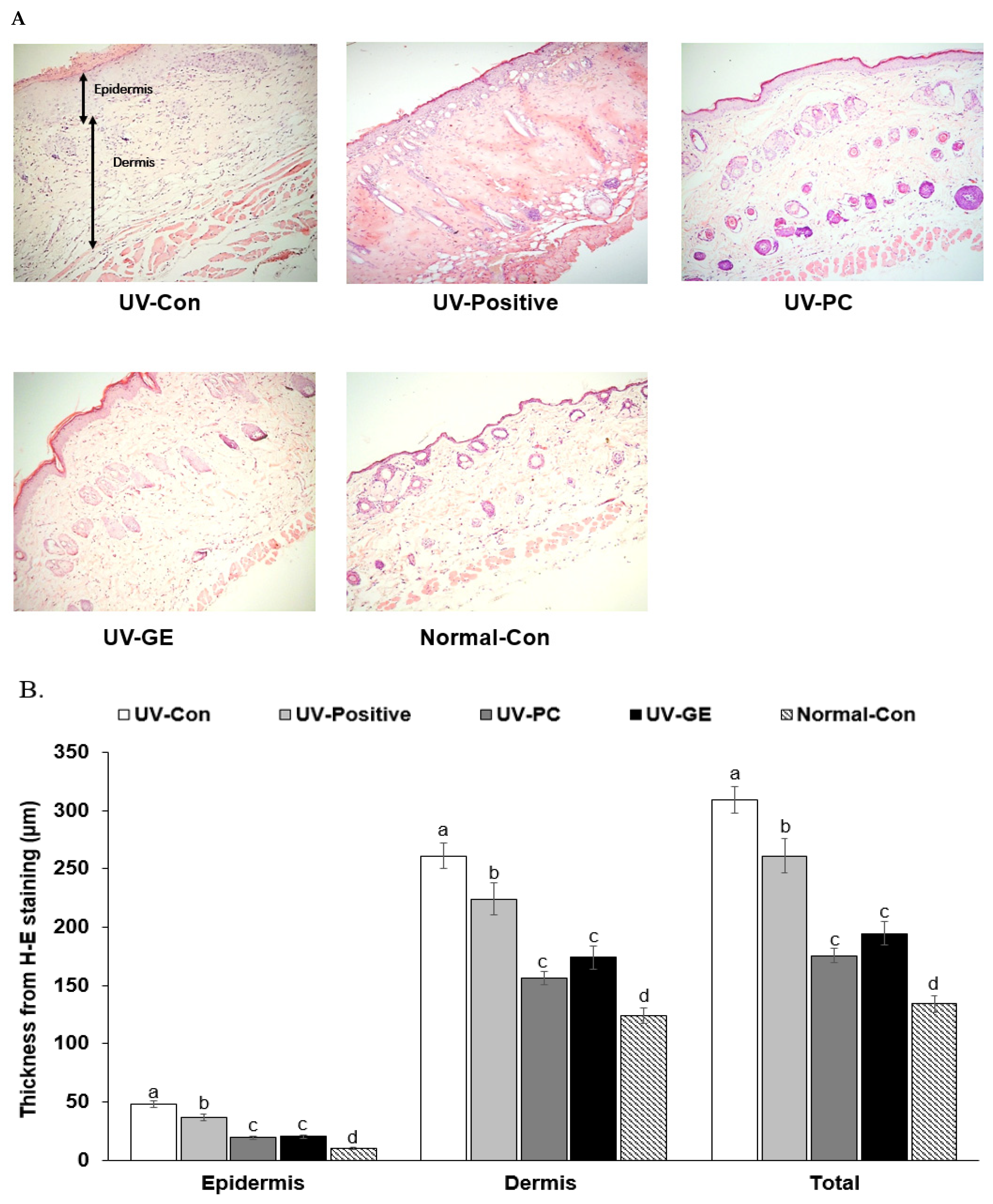 Ijms 23 10833 g002a Ijms 23 10833 g002a