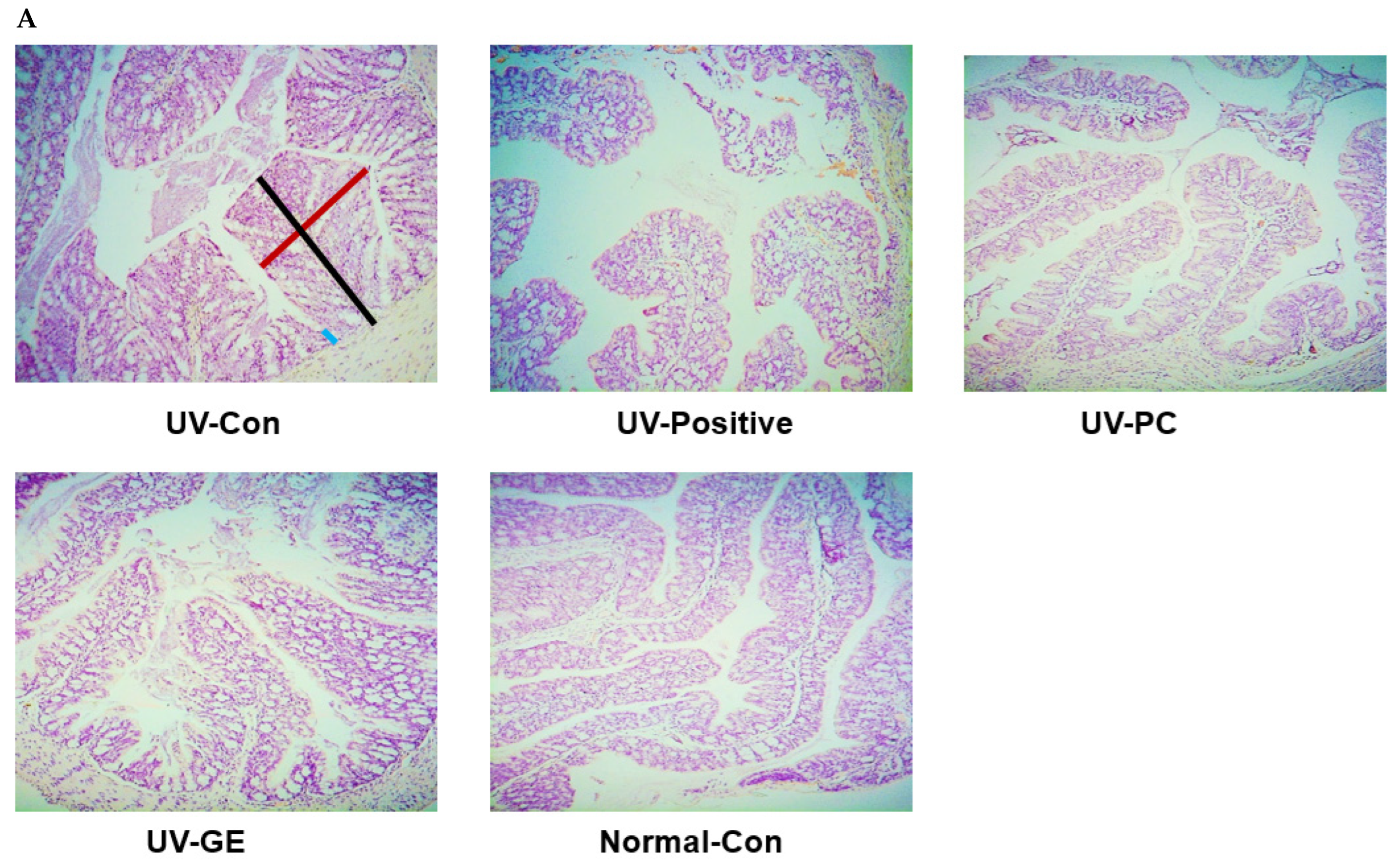 Ijms 23 10833 g003a Ijms 23 10833 g003a