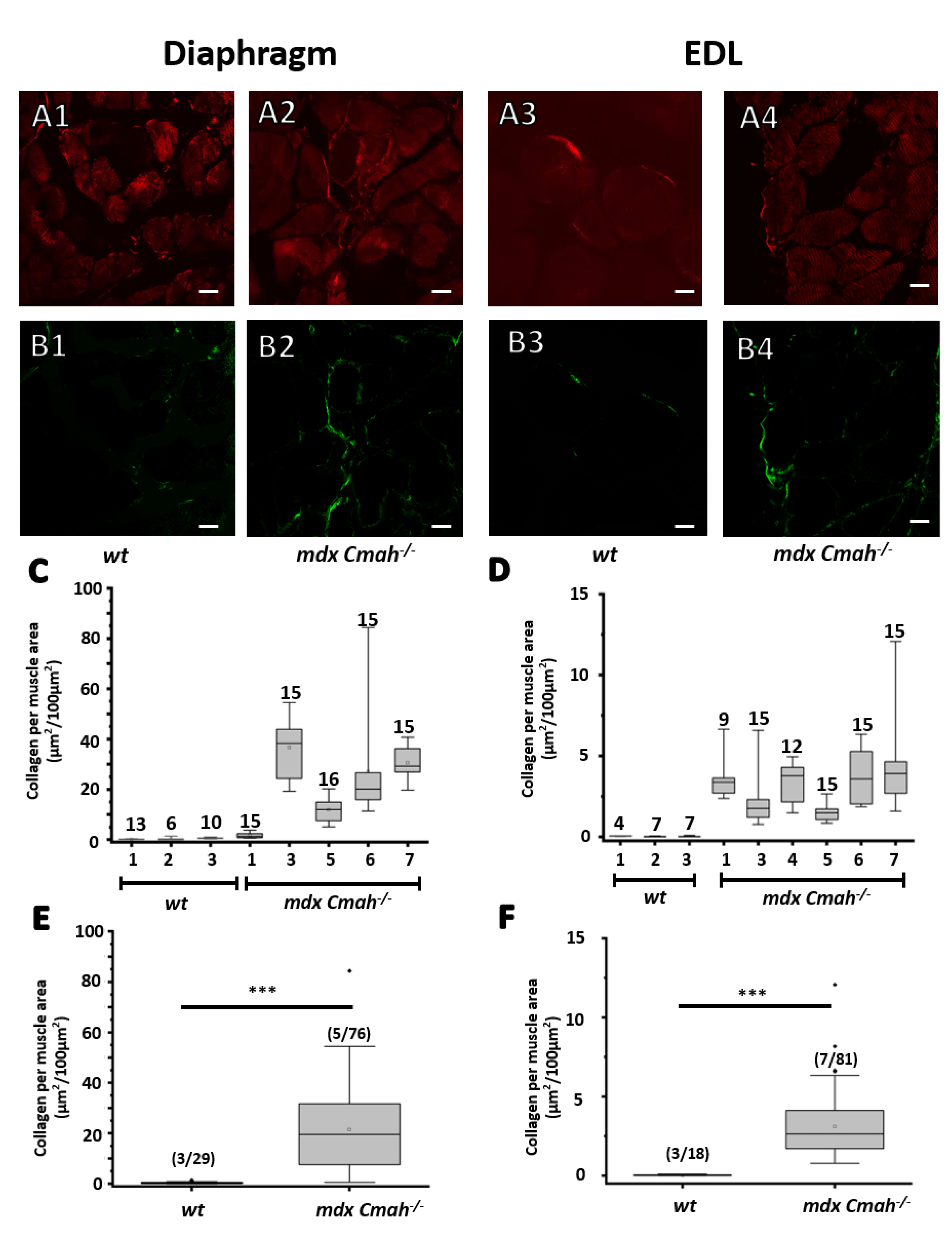 Ijms 23 10841 g002 Ijms 23 10841 g002