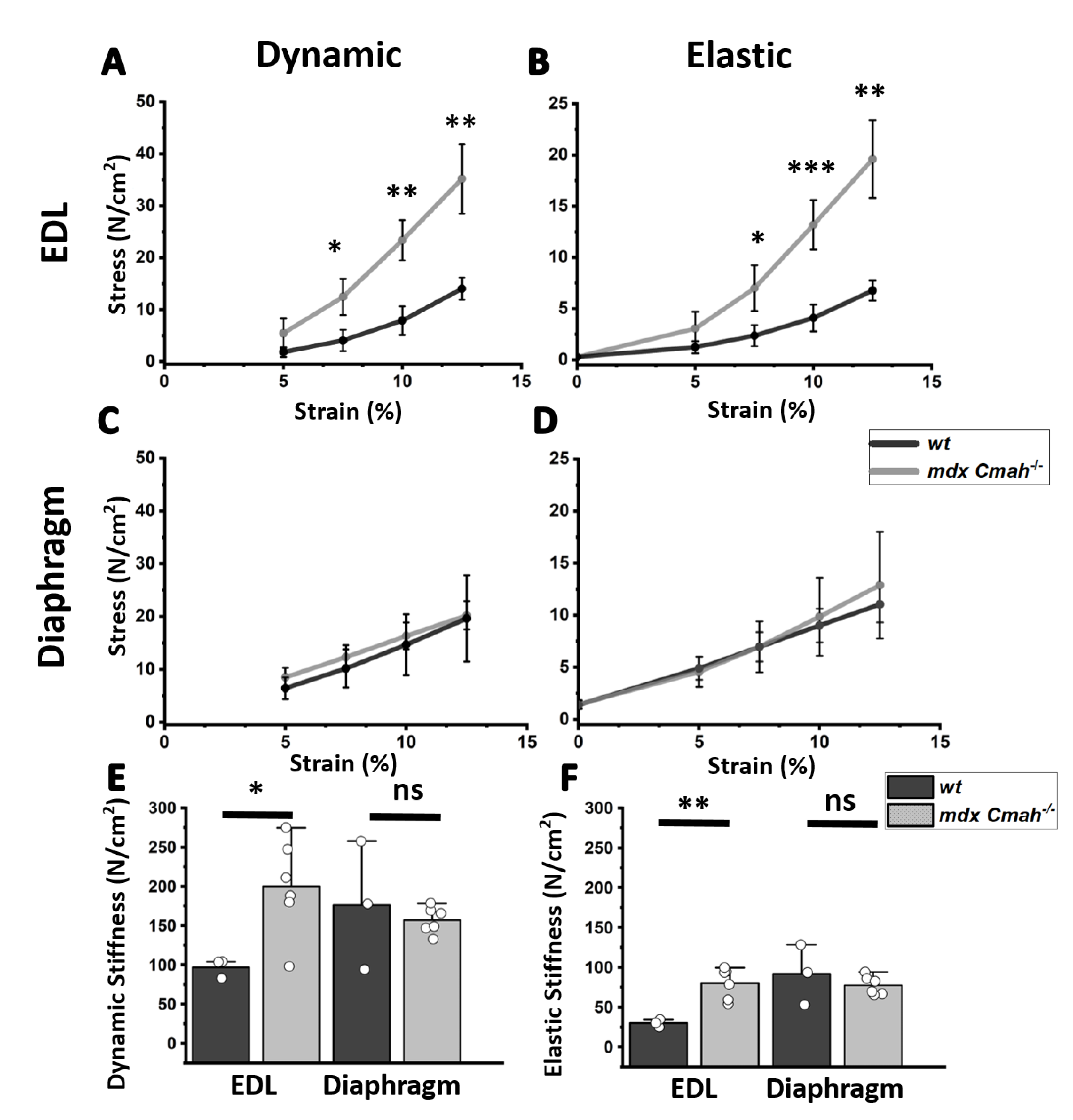Ijms 23 10841 g003 Ijms 23 10841 g003