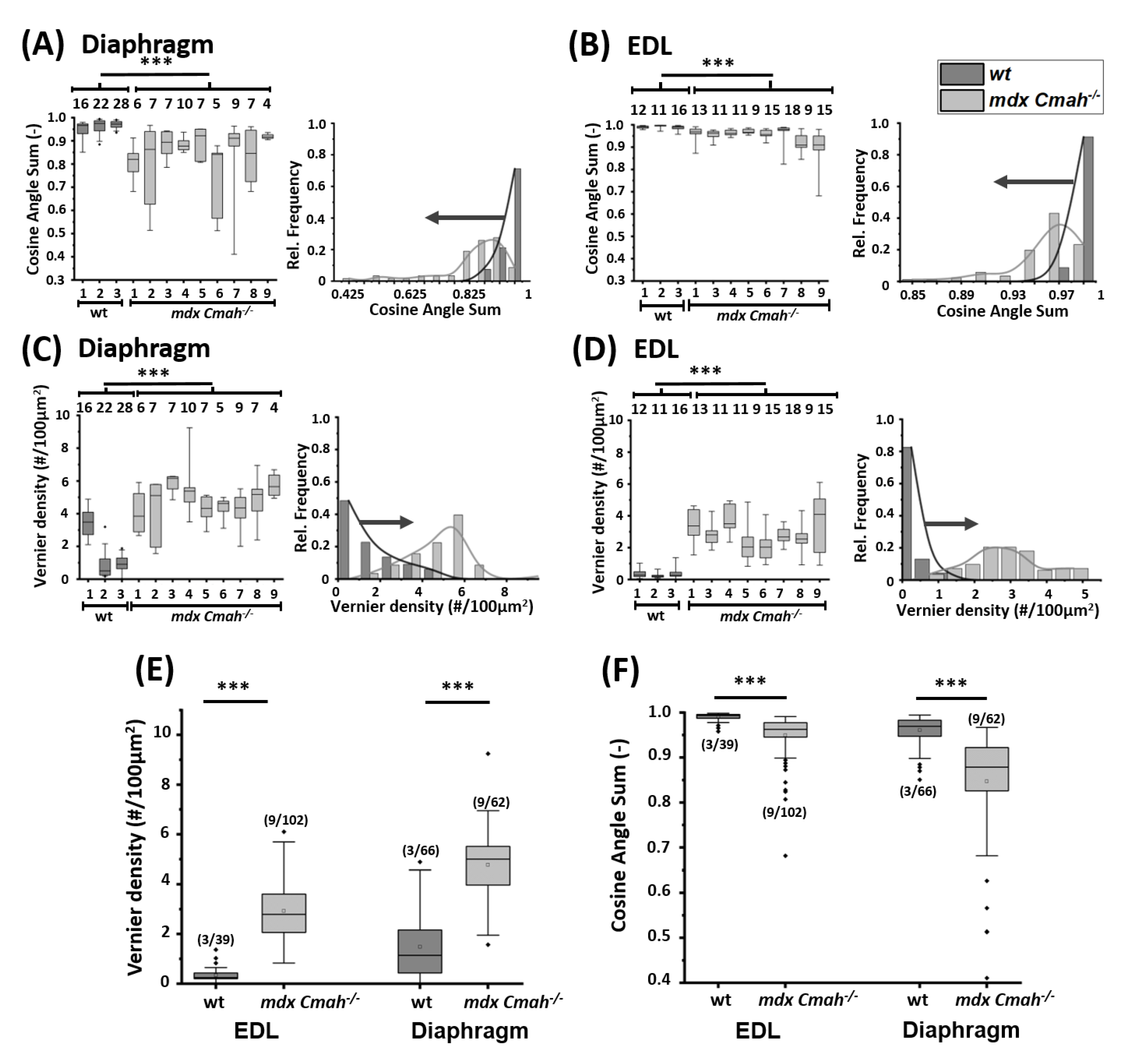 Ijms 23 10841 g006 Ijms 23 10841 g006