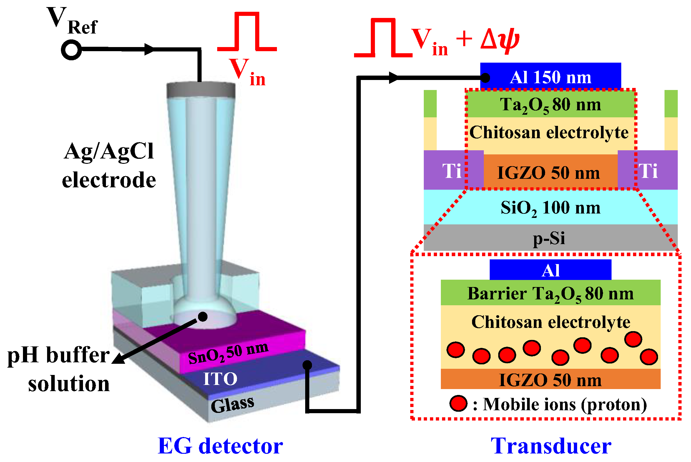 IJMS Free FullText TimeDependent Sensitivity Tunable pH Sensors