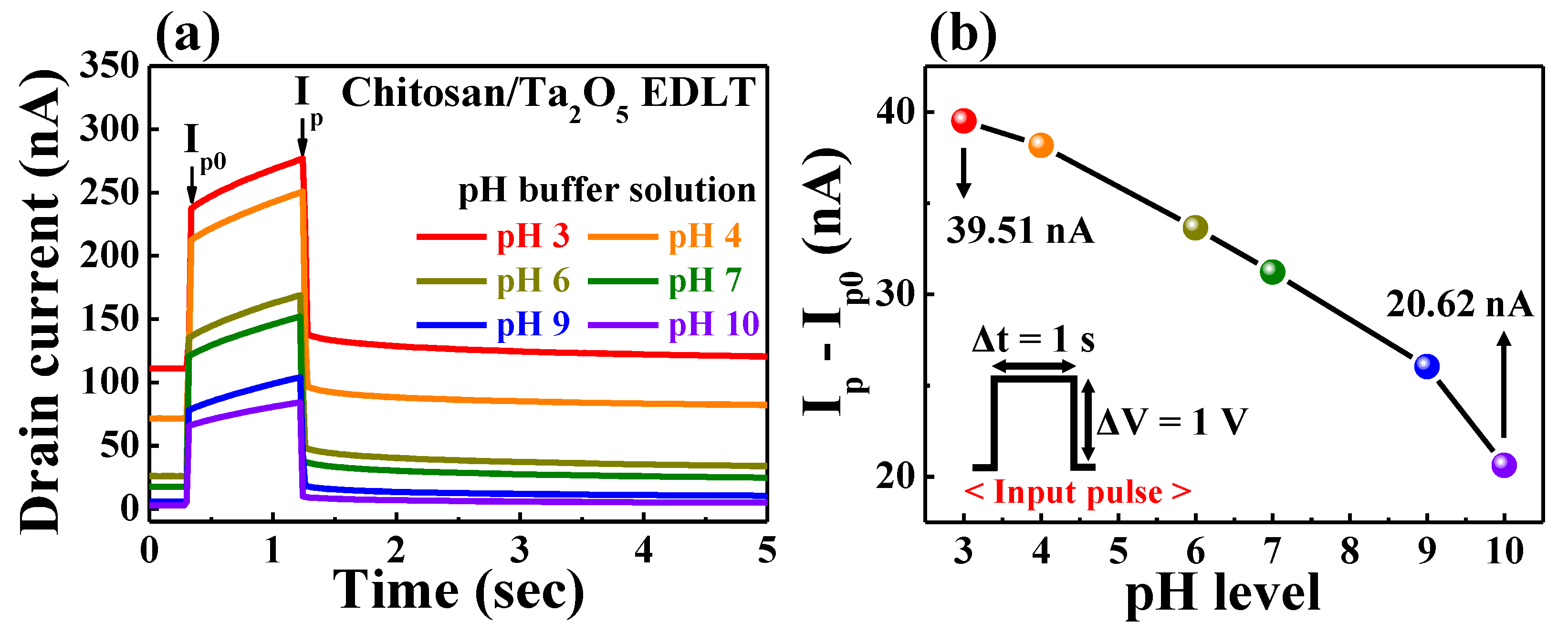 Ijms 23 10842 g005 550