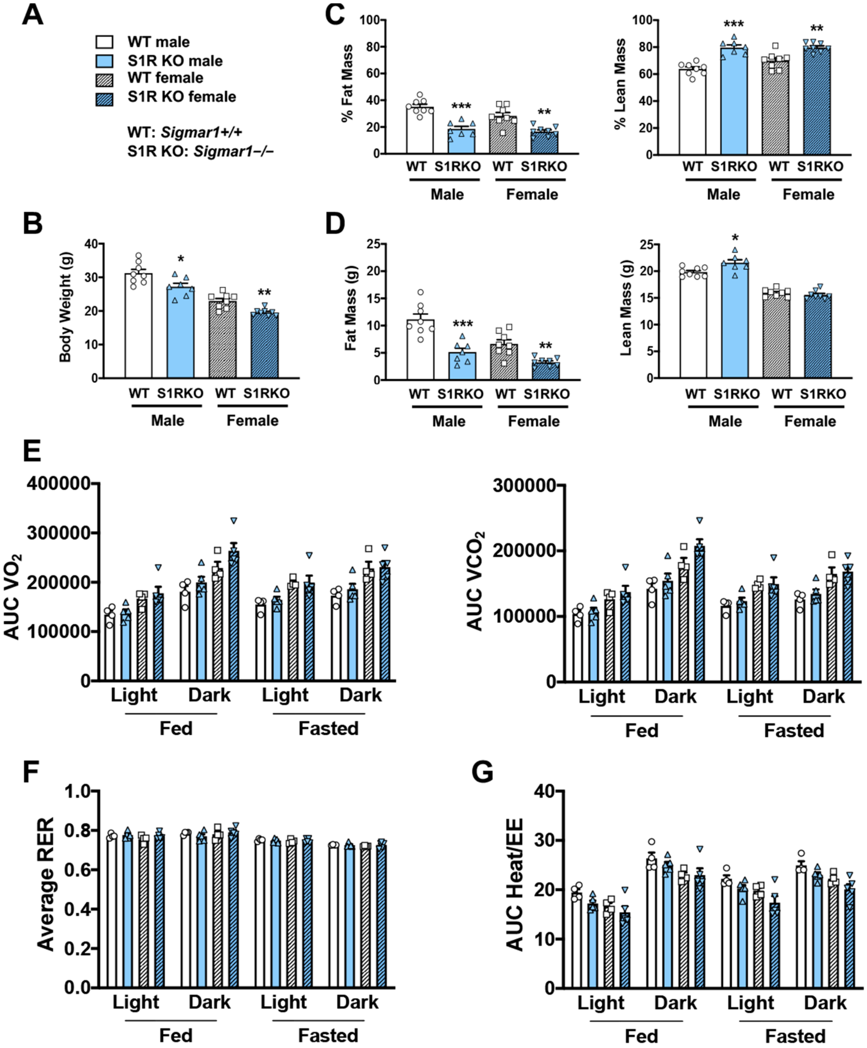 Ijms 23 10846 g001 Ijms 23 10846 g001